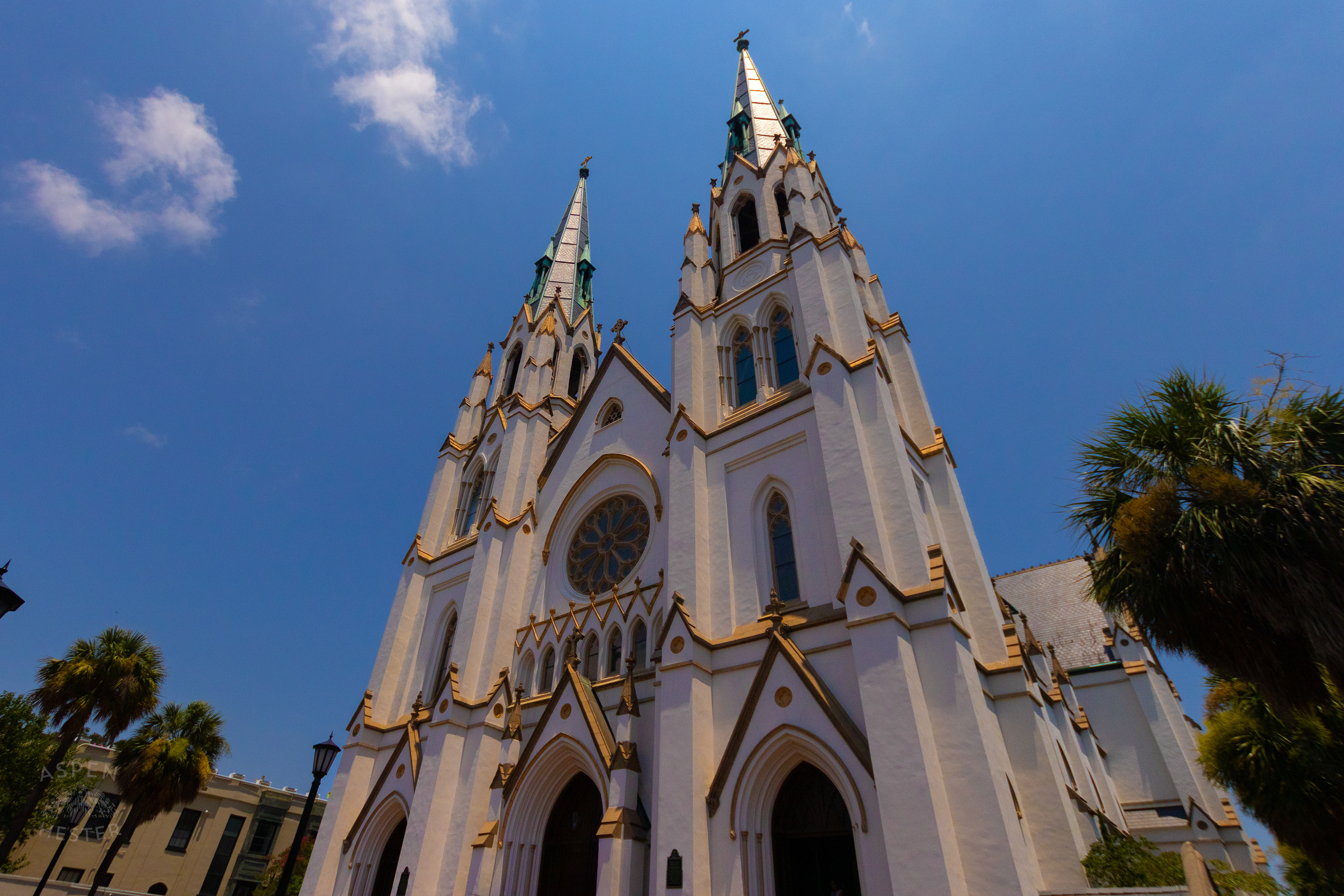 The Cathedral of St. John the Baptist Savannah Georgia. June 24th, 2024/Aspen Hester