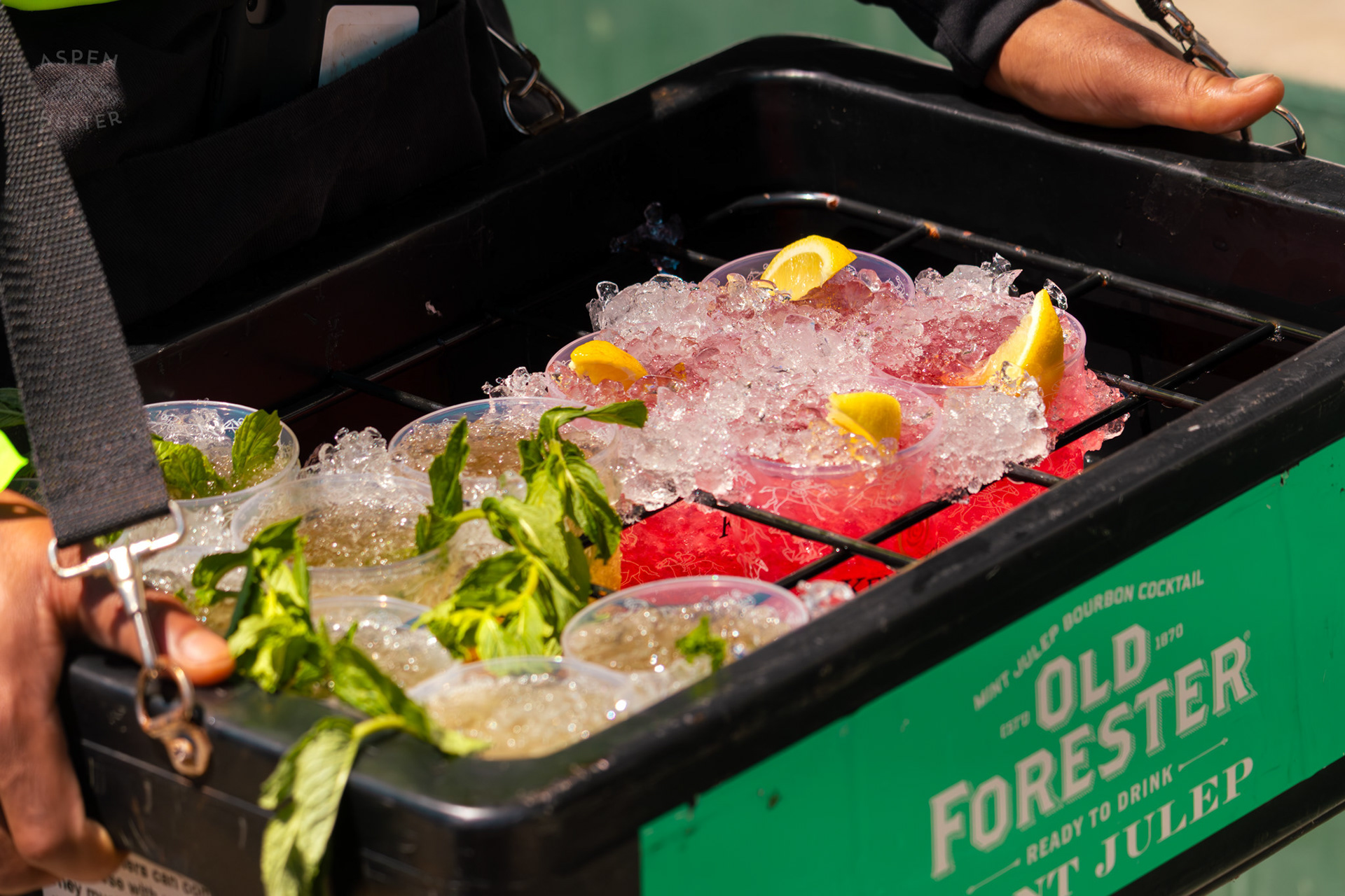 Oaks Lilies and Mint Juleps Sold in The Stands Baseball Stadium Style at Churchill Downs During Thurby. April 30th, 2026/Aspen Hester
