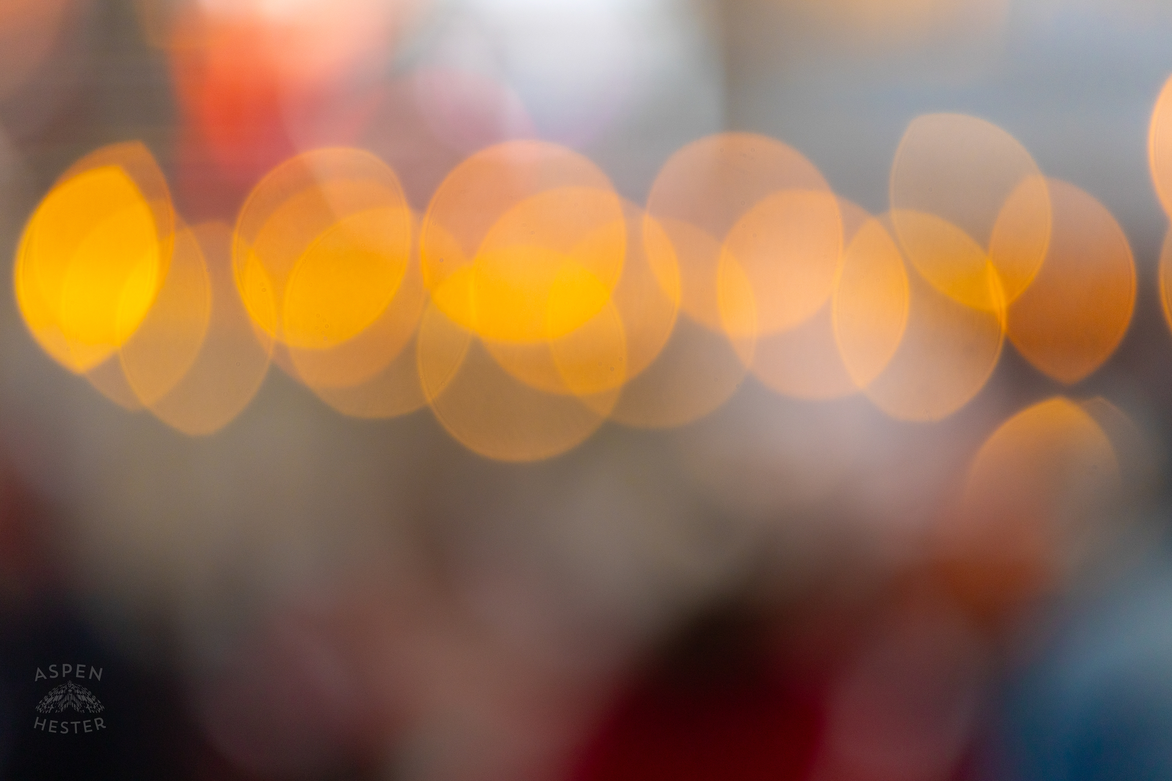 Holiday Lights in Bokeh at The Light Up Louisville 2024 Festivities. December 7th, 2024/Aspen Hester