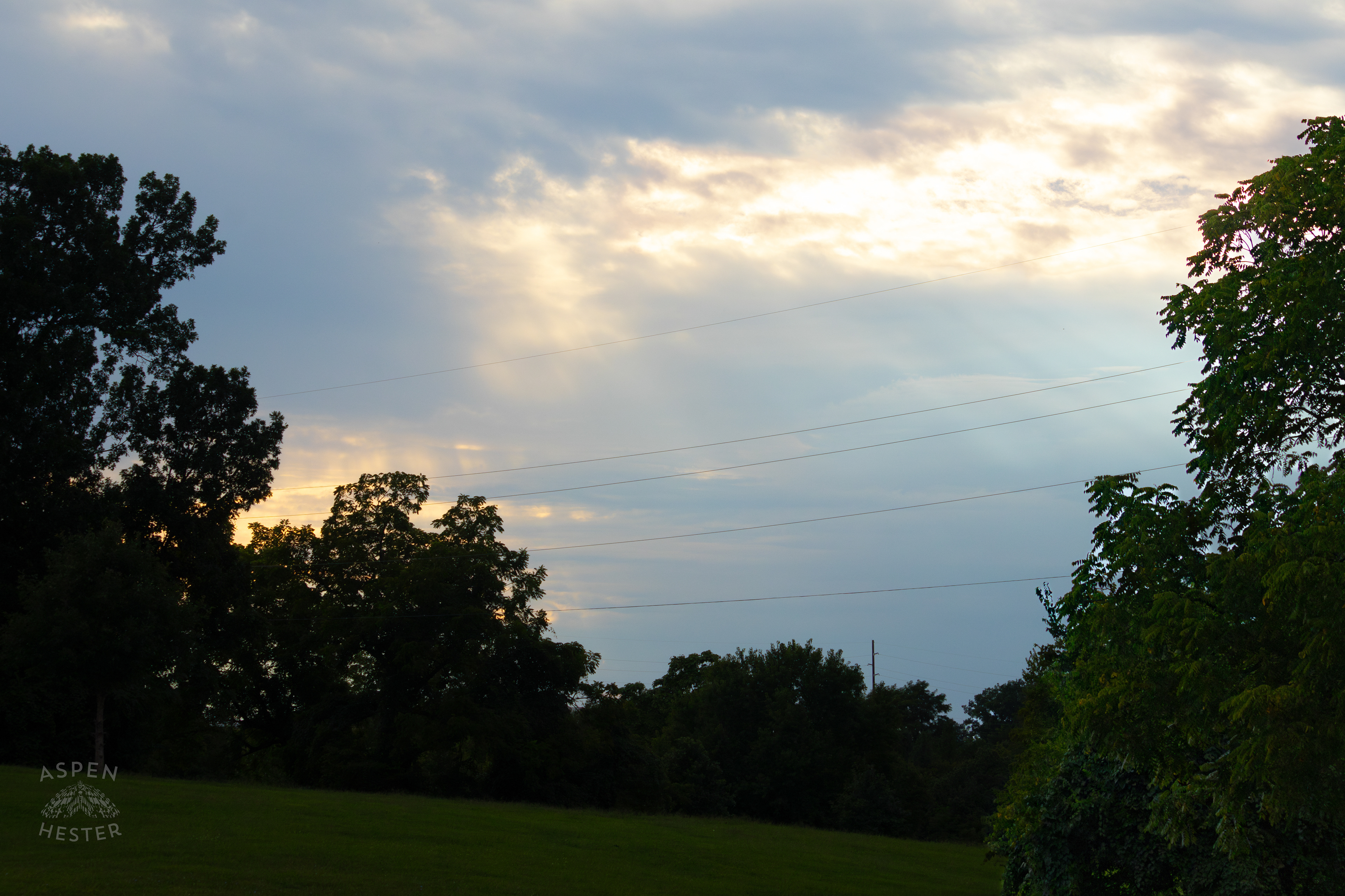 Dusk in Wendell Moore Park. August 12th, 2024/Aspen Hester