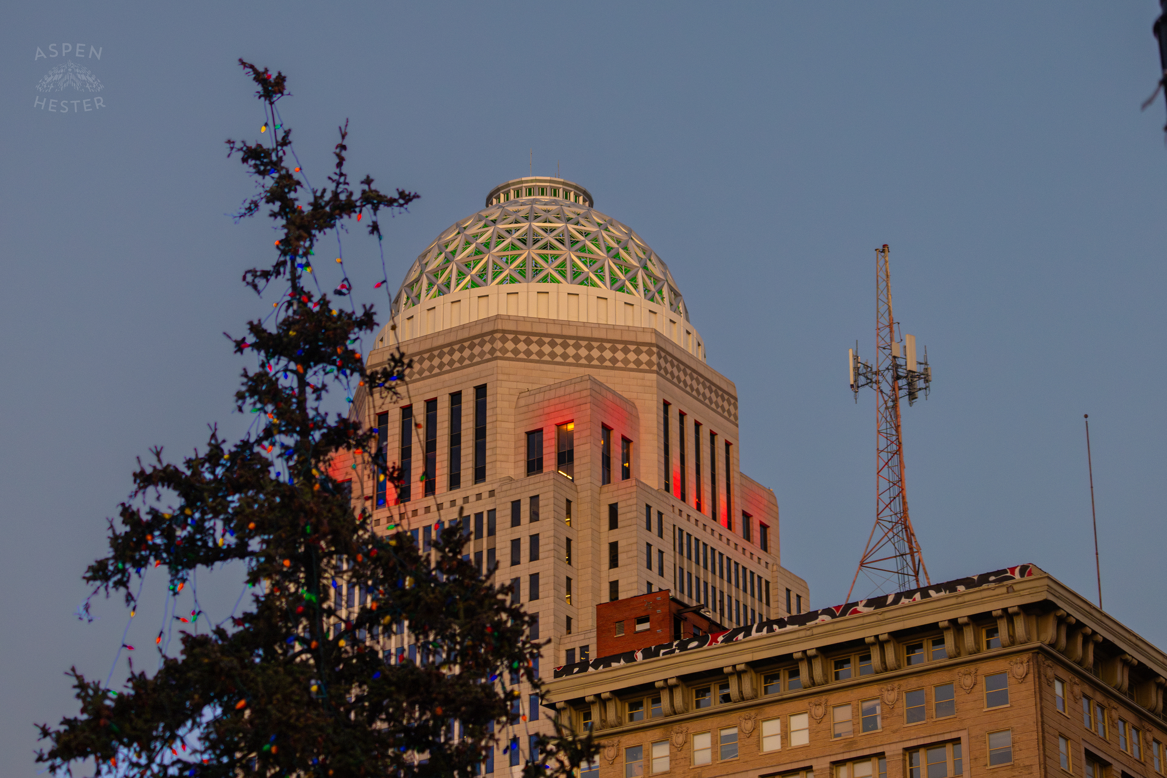 The Mercer Building in The Shadow of A Tree Decked Out in Lights at The Light Up Louisville 2024 Festivities. December 7th, 2024/Aspen Hester