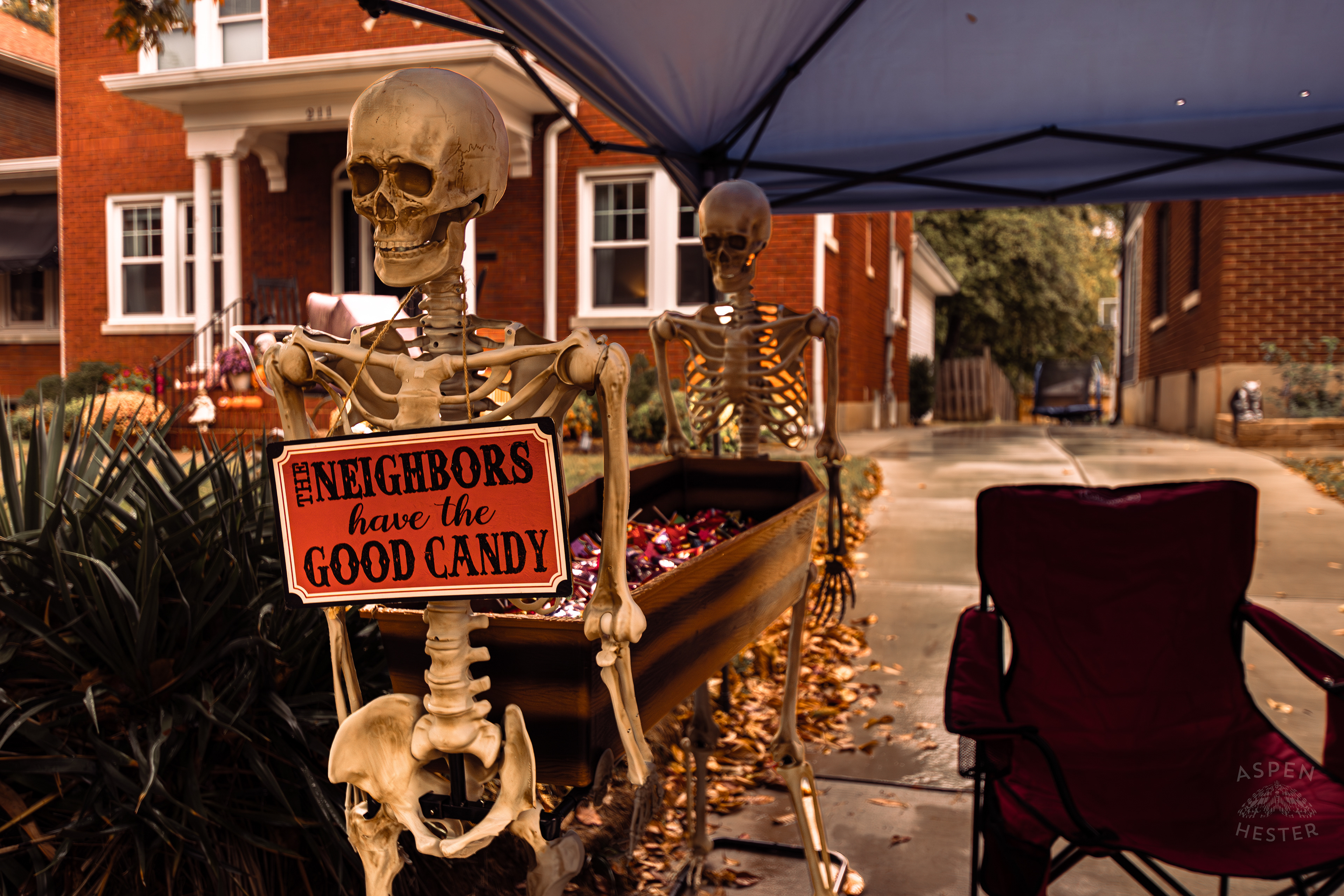Skeletons Holding Up A Coffin of Candy Along Hillcrest Avenue on Halloween Night. October 31st, 2024/Aspen Hester