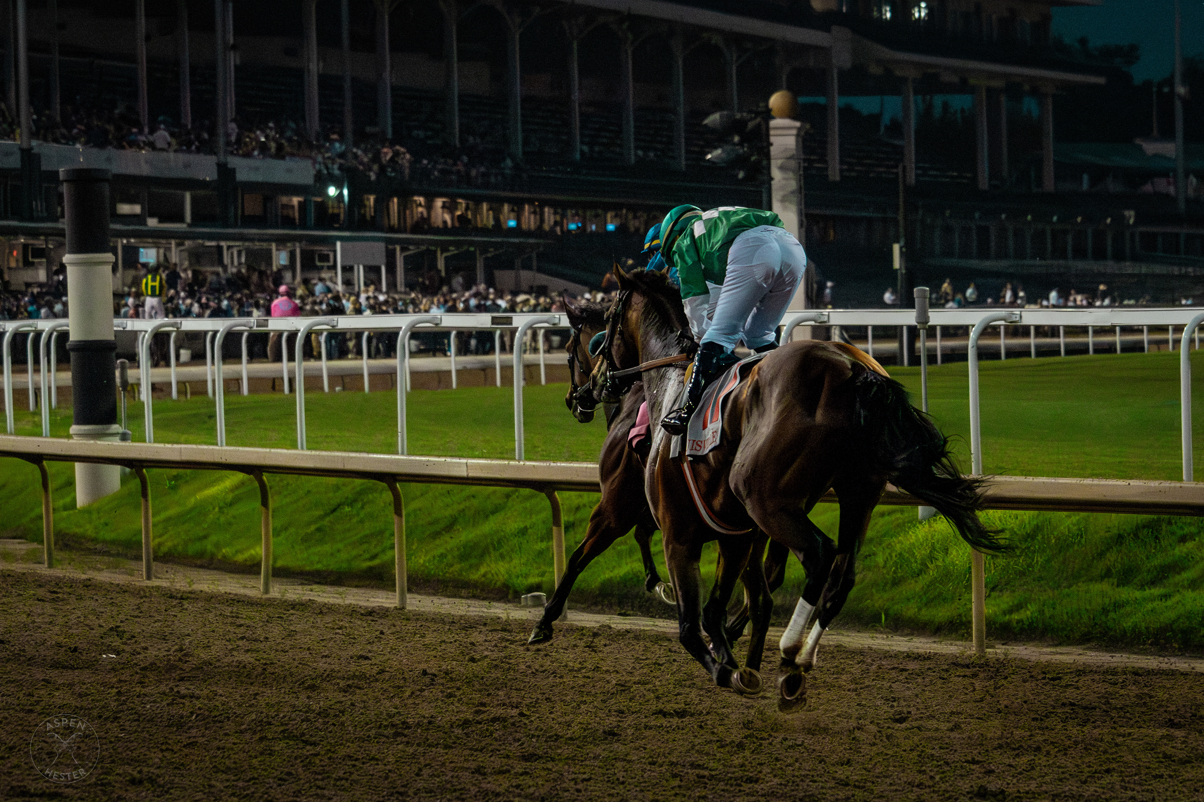 Horses Racing at Downs After Dark. May 18th, 2024/Aspen Hester