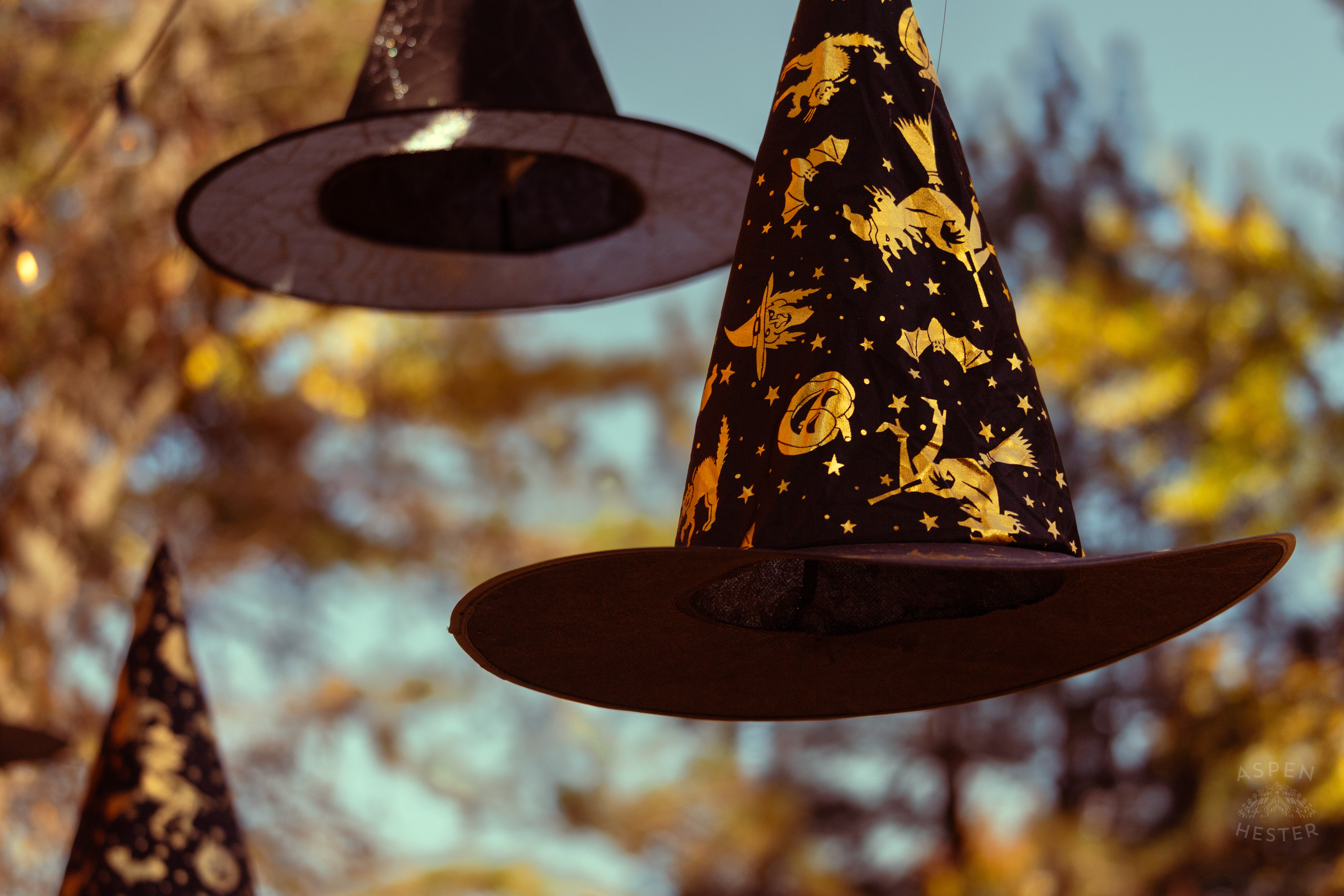 Witch Hats Floating Above Dozens of Women Attending Stacey Edrington’s Yearly Witches Brunch in Mt. Washington. October 26th, 2024/Aspen Hester