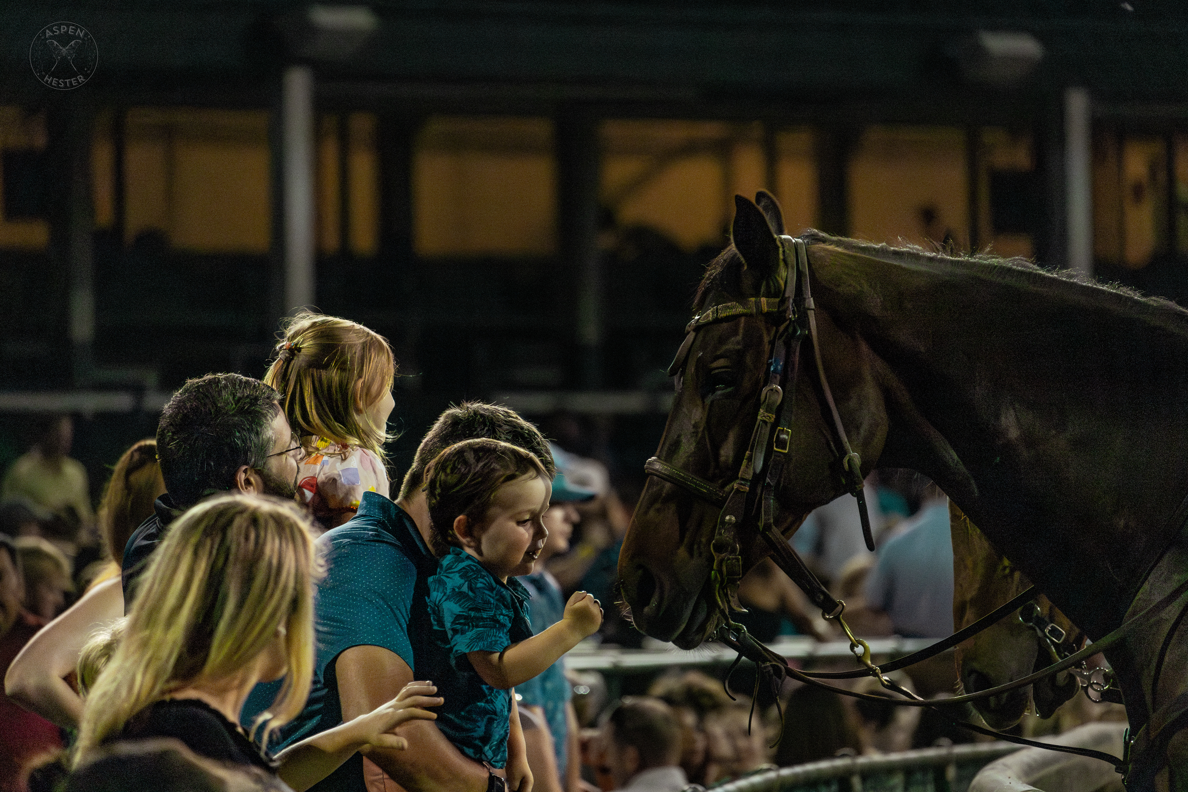 Churchill Down Riders Allow Fans to Pet Their Horses at Downs After Dark. May 18th, 2024/Aspen Hester