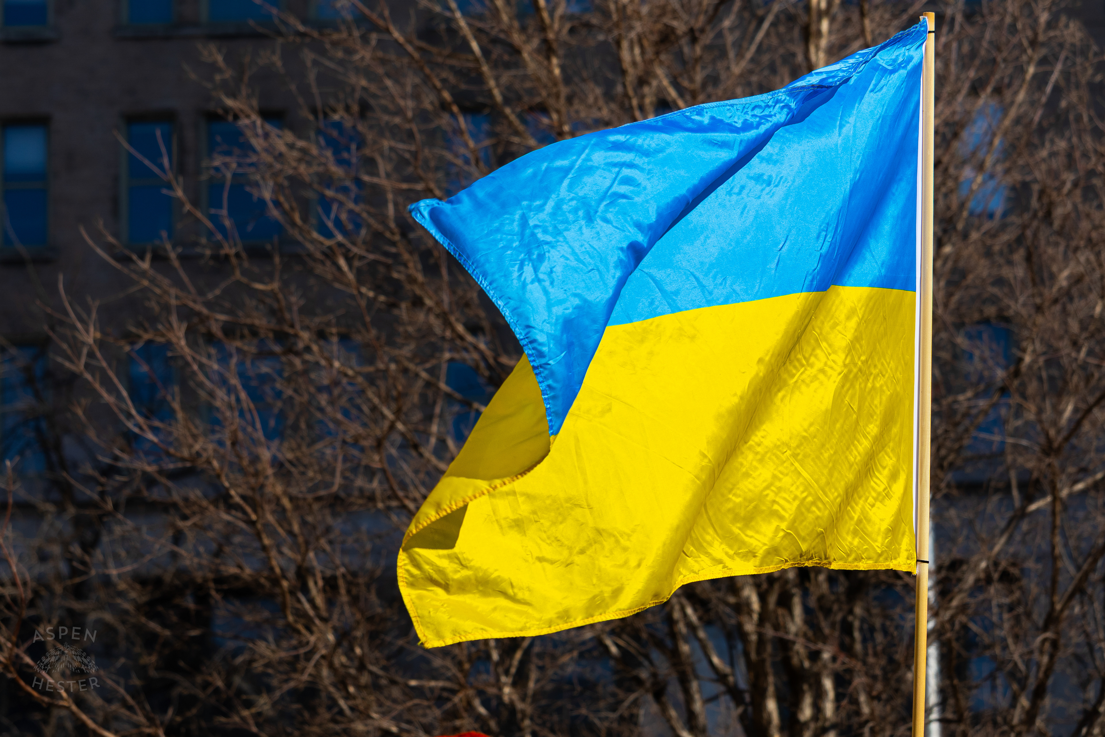 A Louisvillian Waves A Ukrainian Flag as The Community Rallies in Support of Ukraine. March 2nd, 2025/Aspen Hester