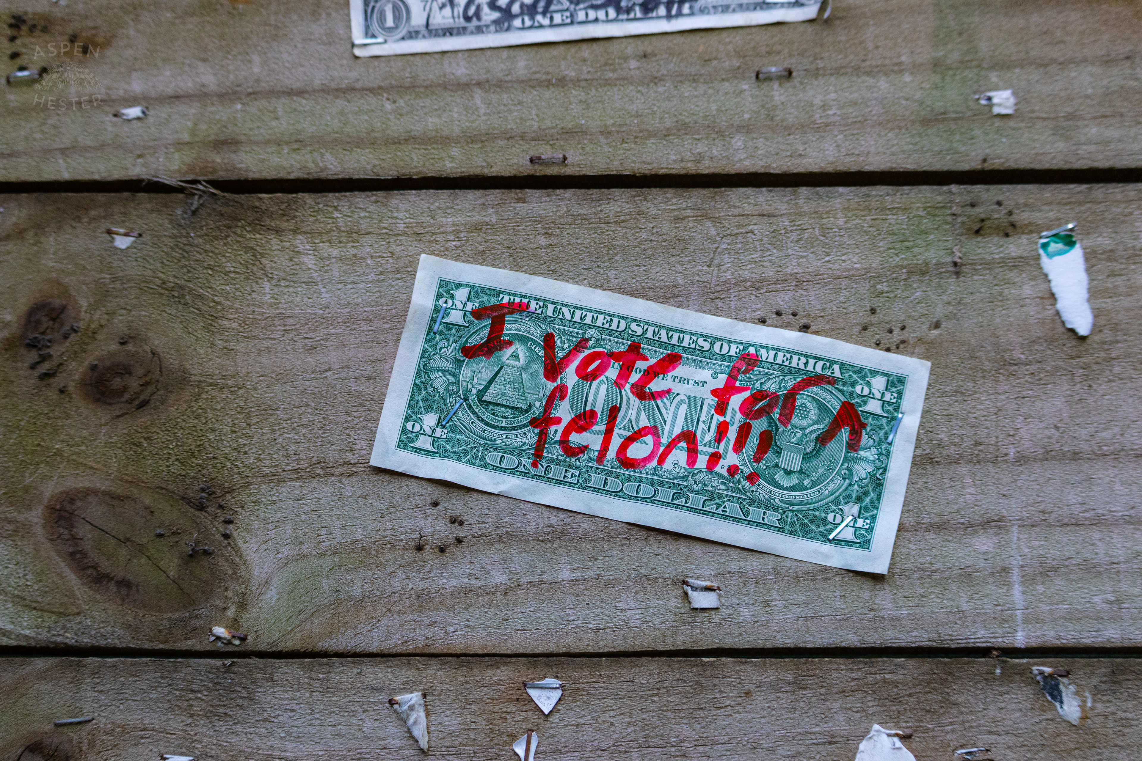 Dollar Bills Stapled to Huc-A-Poos Bites and Booze on Tybee Island Georgia. June 25th, 2024/Aspen Hester