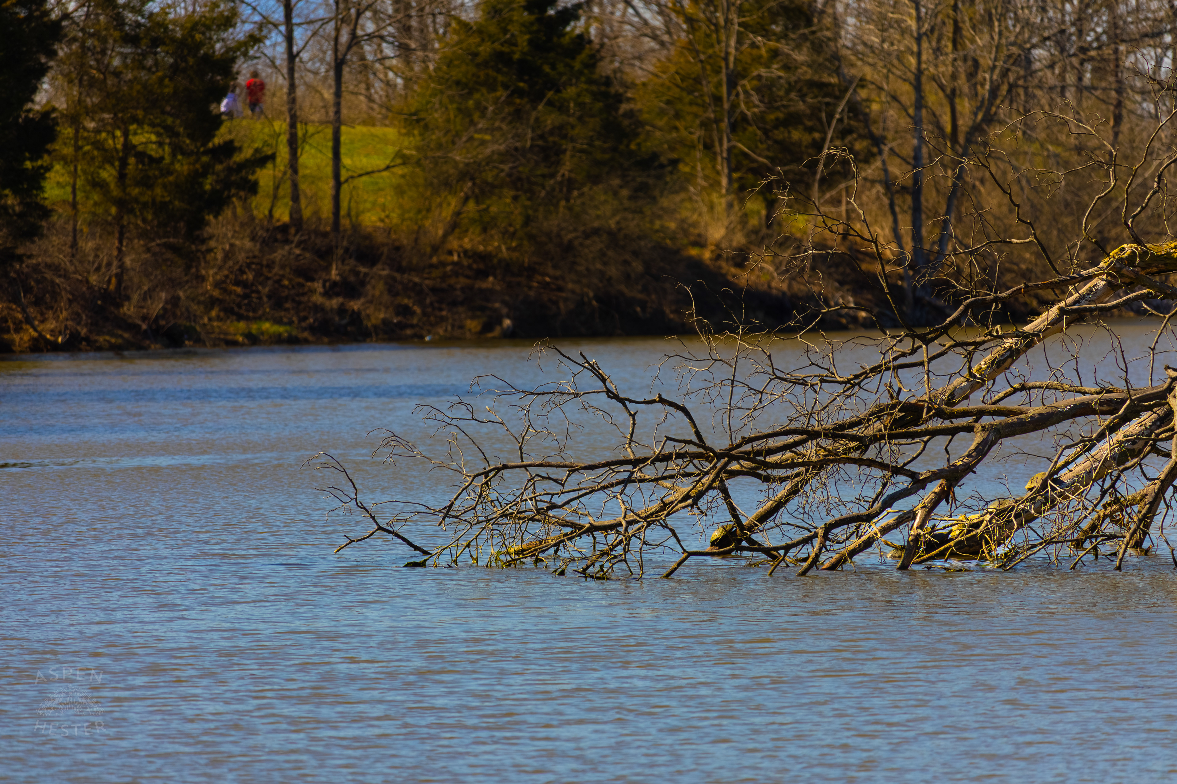 Reformatory Lake in Wendell Moore Park Right Before Spring. March 18th, 2025/Aspen Hester