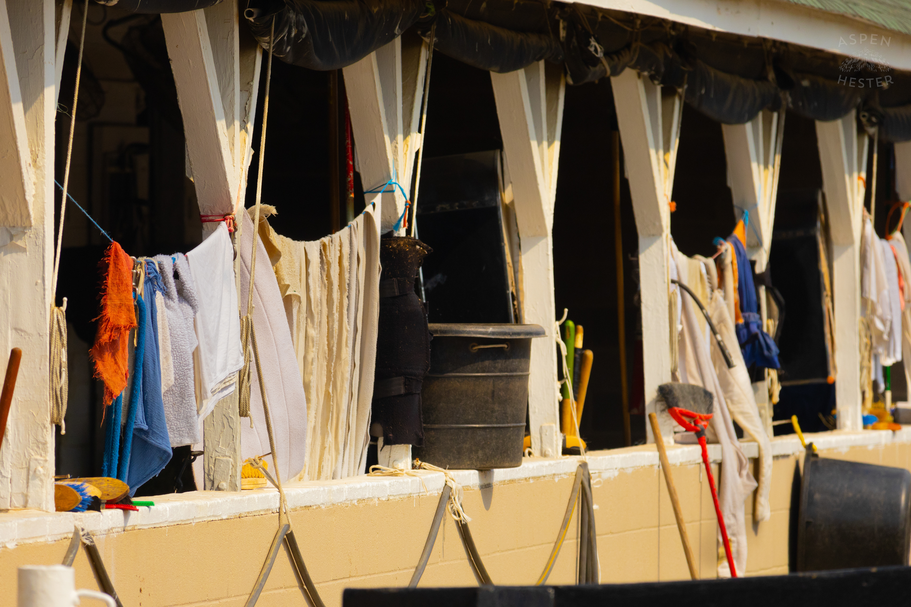 Rags Hanging Up to Dry in The Sun on Churchill's Backside. June 21st, 2024/Aspen Hester
