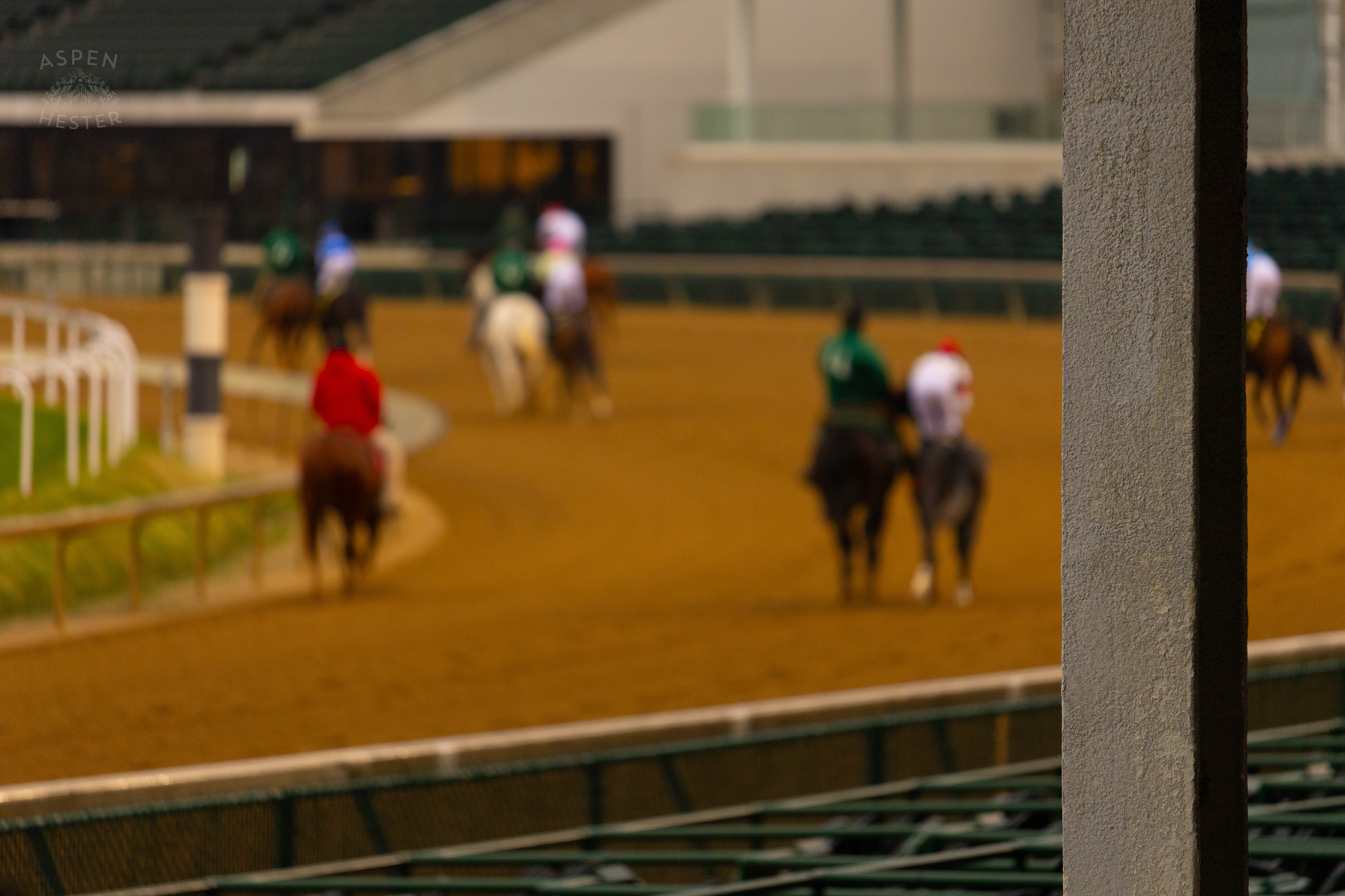 Horses Being Led to The Starting Gate for Race 8 On The Day Bob Baffert Returned to Churchill Downs After A 3 Year Suspension. November 27th, 2024/Aspen Hester