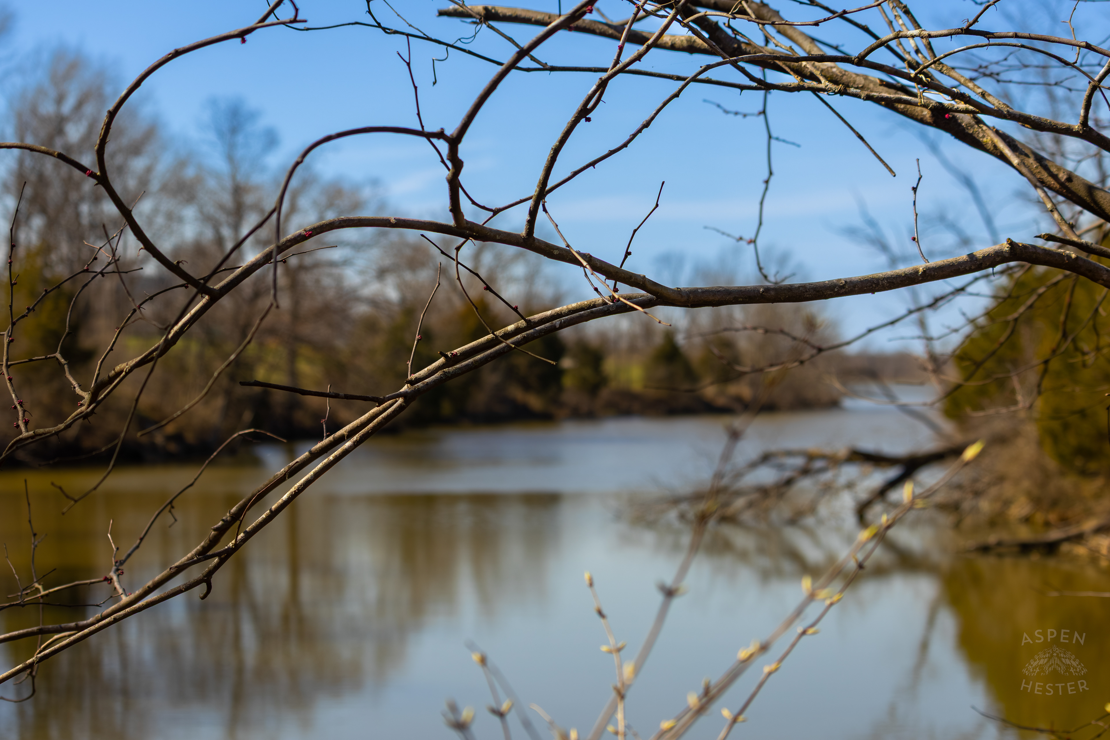 Cedar Creek Widening Into Reformatory Lake in Wendell Moore Park Right Before Spring. March 18th, 2025/Aspen Hester