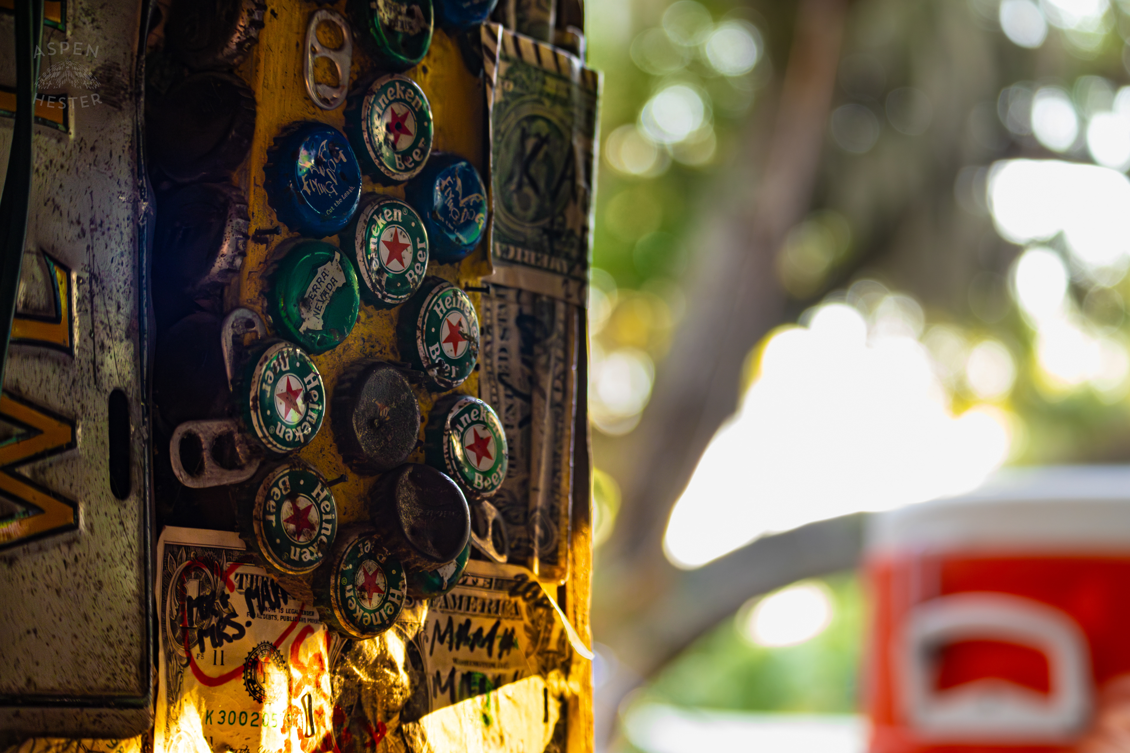 Dollar Bills Stapled to Huc-A-Poos Bites and Booze on Tybee Island Georgia. June 25th, 2024/Aspen Hester