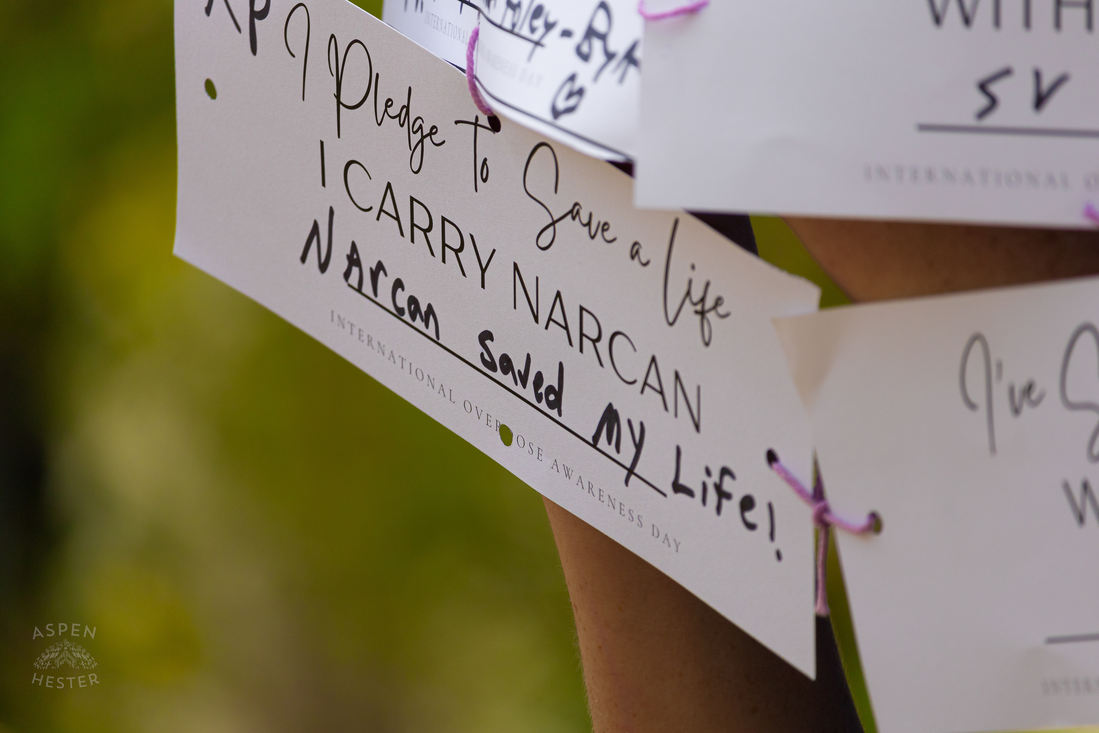Cards Sharing Why People Carry Narcan with Them at The 3rd Annual Vocal KY International Overdose Awareness Day Rally and March. August 31st, 2024/Aspen Hester