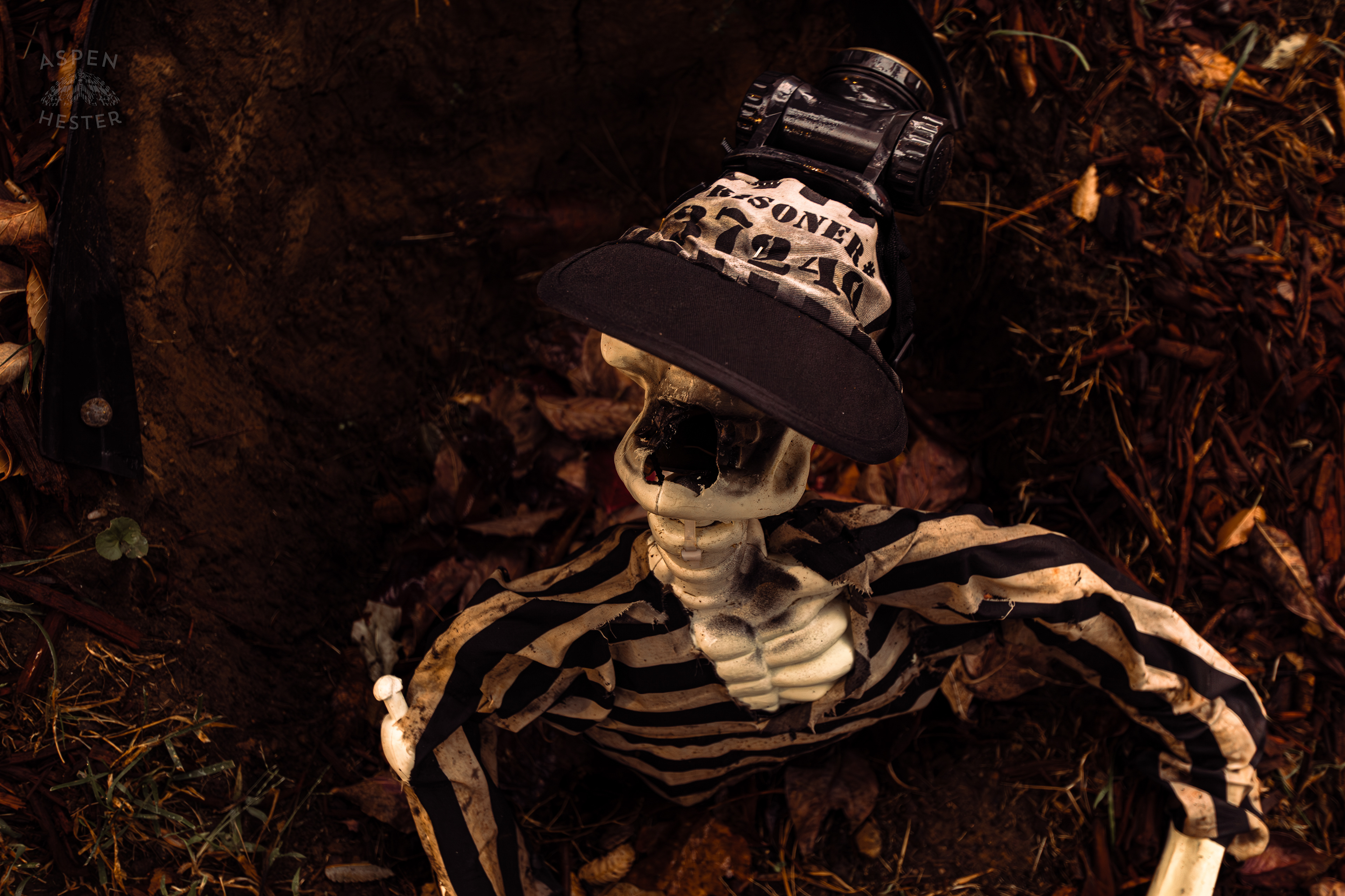 Jailbreak Jake Along Hillcrest Avenue on Halloween Night. October 31st, 2024/Aspen Hester