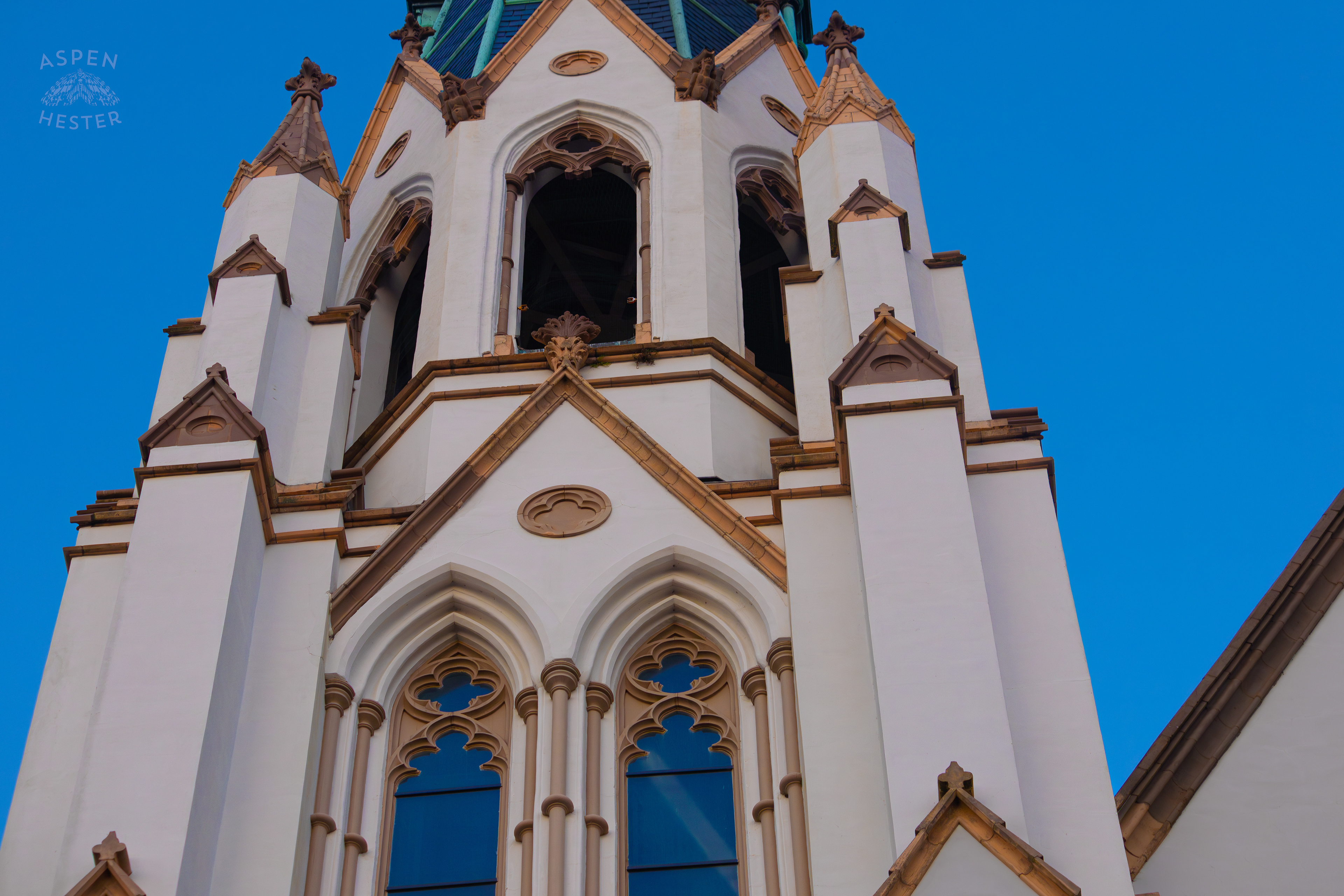 Intricate Details on The Cathedral of St. John the Baptist Savannah Georgia. June 24th, 2024/Aspen Hester