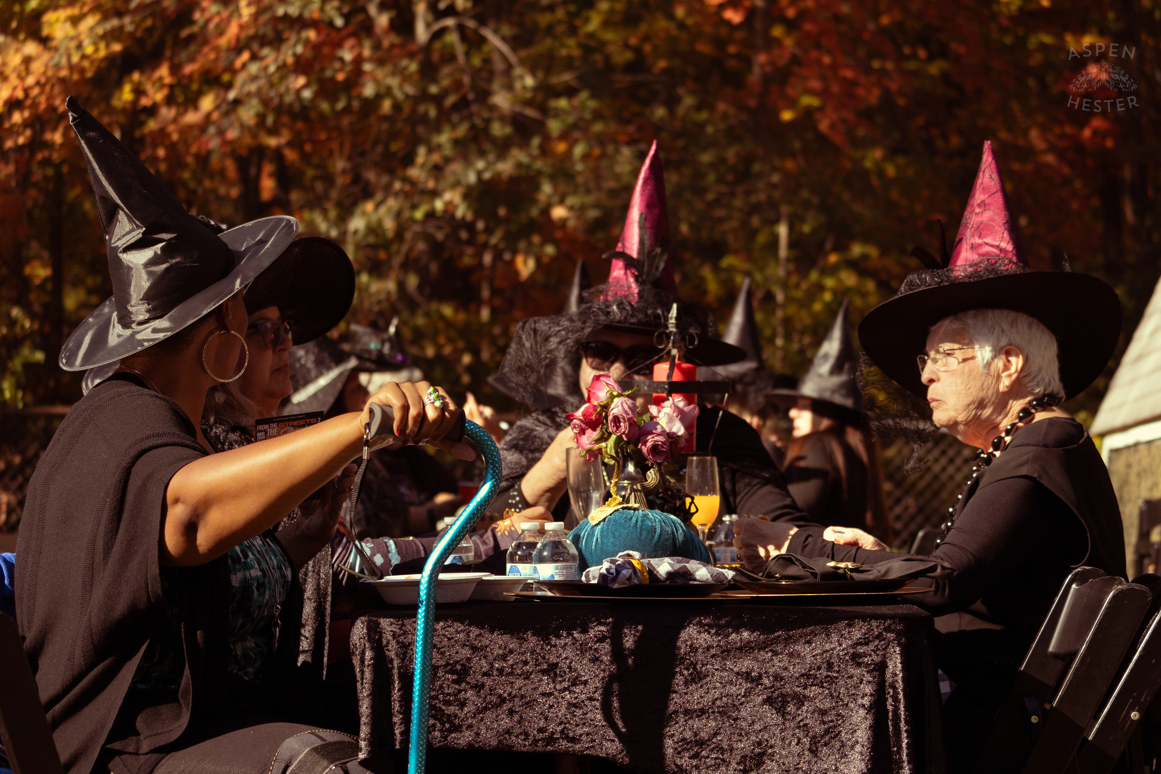 A Group of Witches Laughing and Eating Together at Stacey Edrington’s Yearly Witches Brunch in Mt. Washington. October 26th, 2024/Aspen Hester