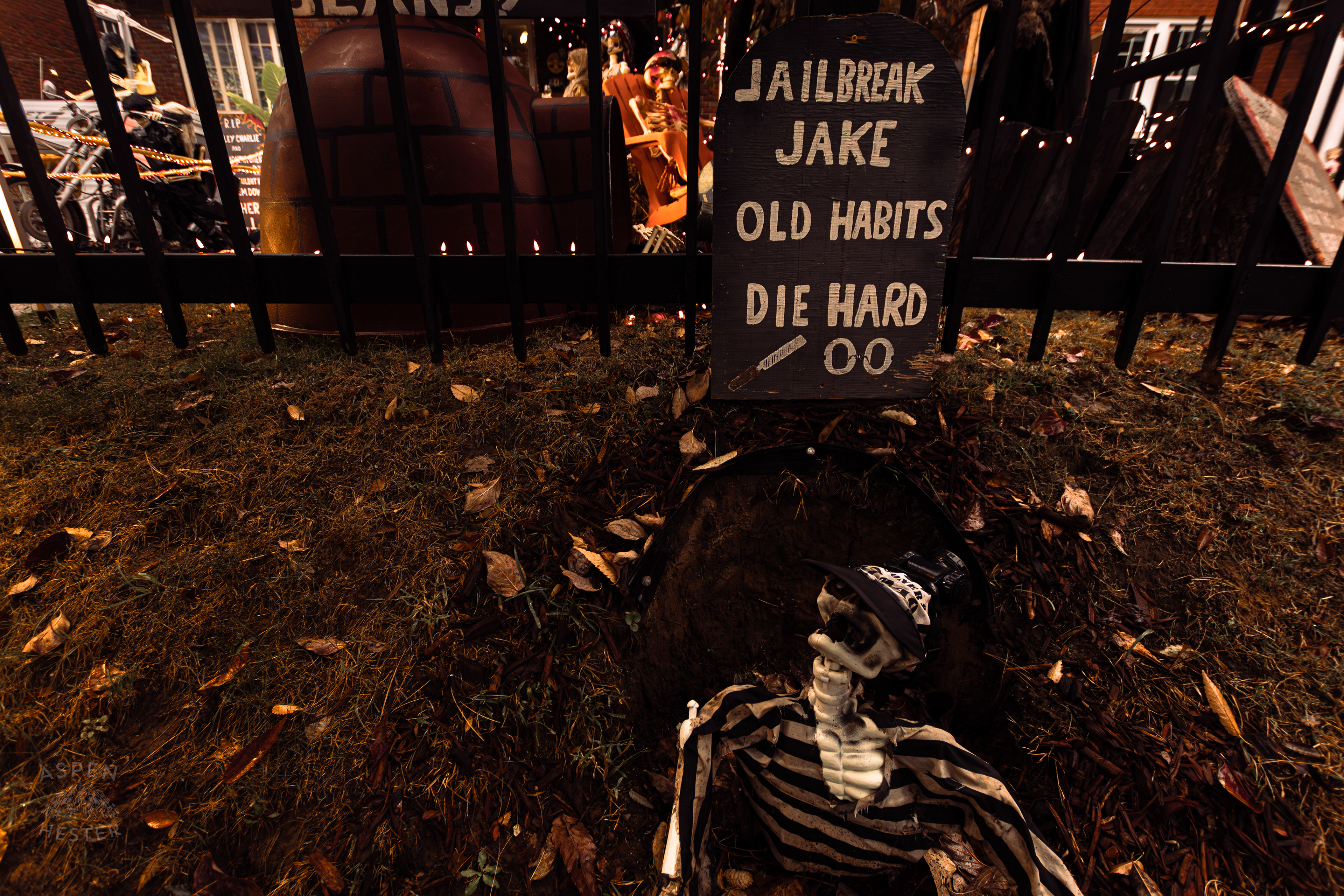 Jailbreak Jake Along Hillcrest Avenue on Halloween Night. October 31st, 2024/Aspen Hester