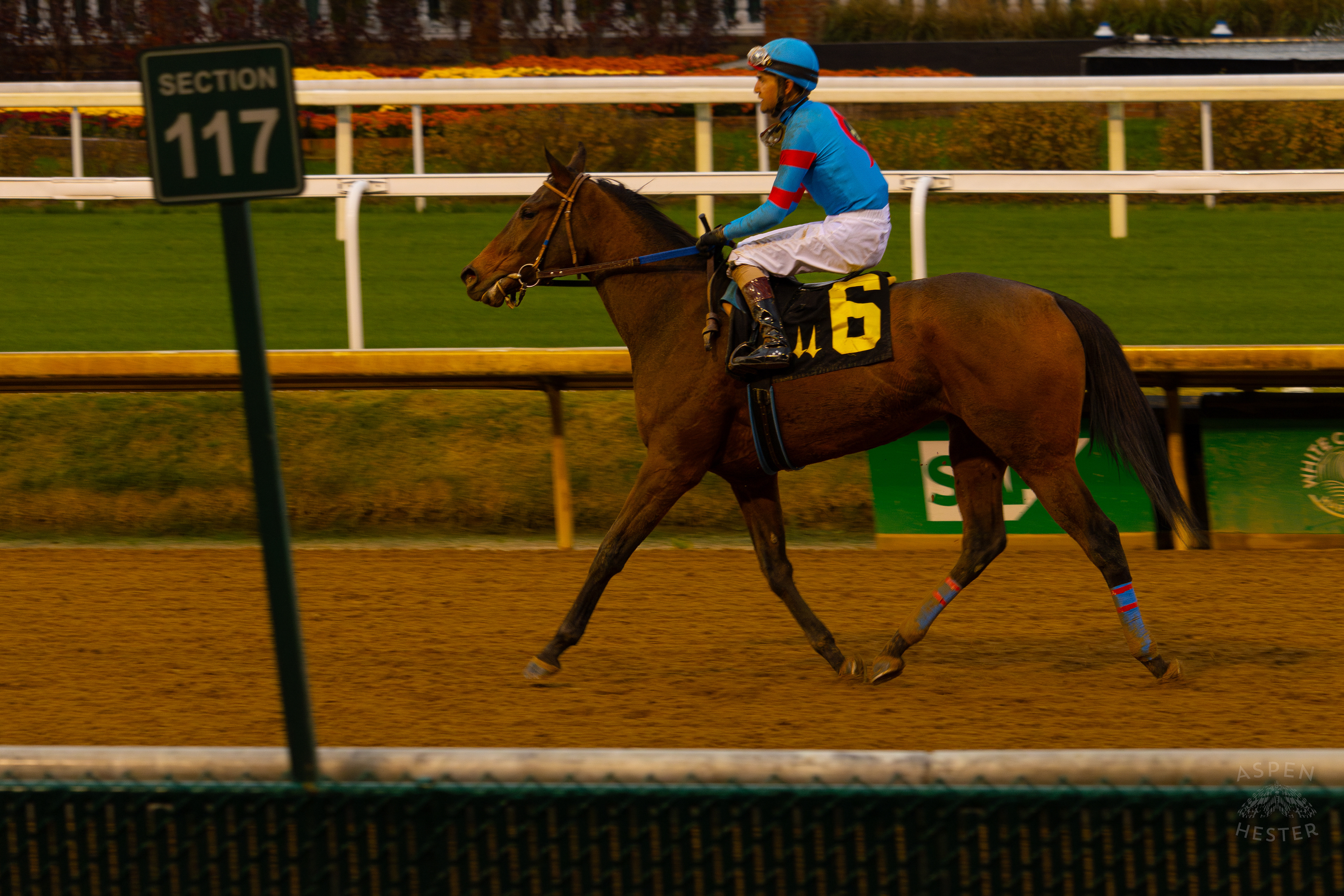 Horse #6 Candy Lover Ridden by Jockey Brian Hernandez Jr. After Running in Race 8 On The Day Bob Baffert Returned to Churchill Downs After A 3 Year Suspension. November 27th, 2024/Aspen Hester