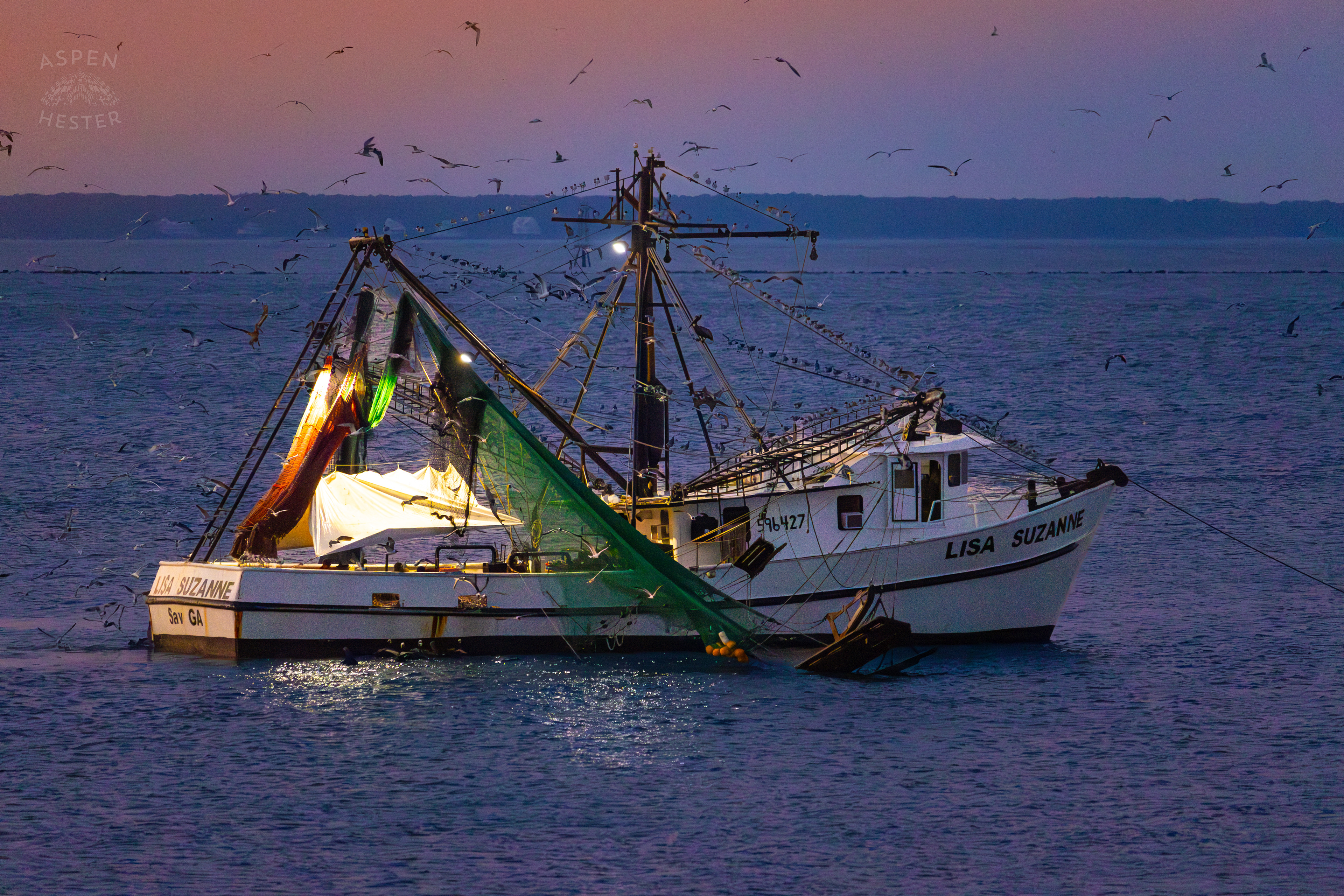The ‘Lisa Suzanne’ in the Waters of Tybee Island Georgia. June 25th, 2024/Aspen Hester