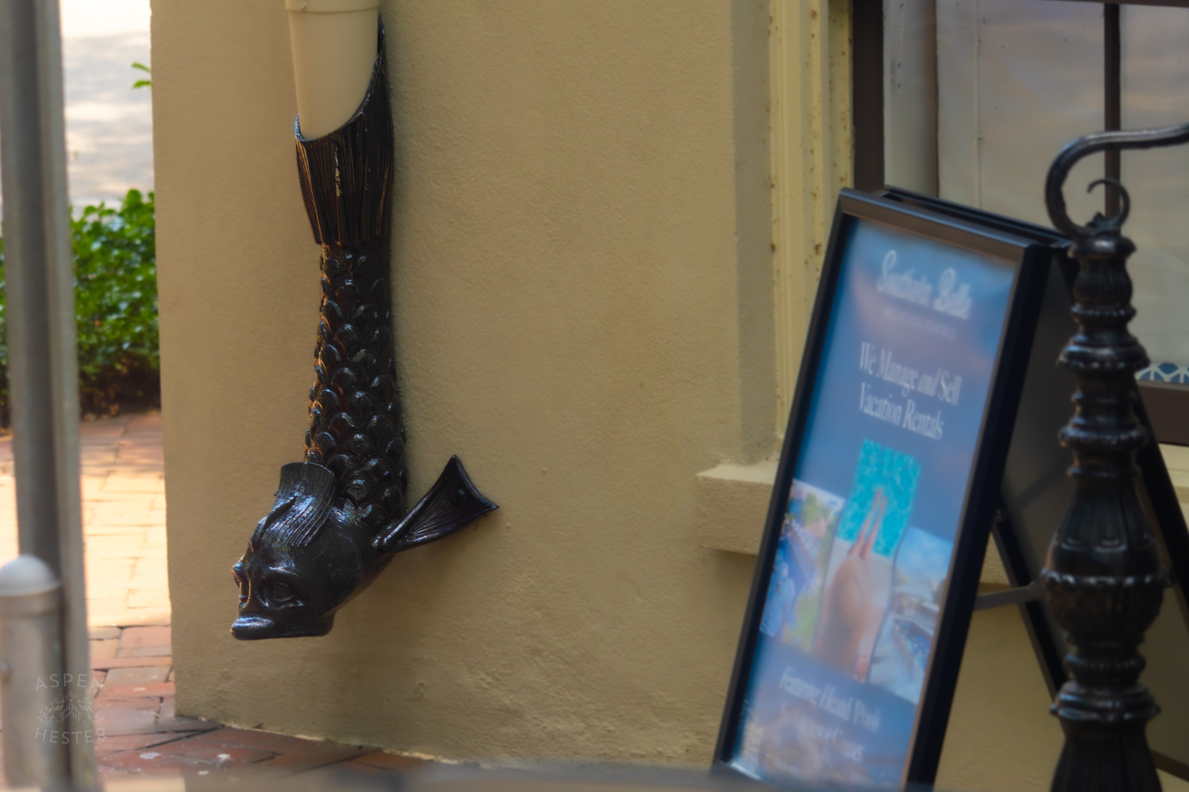 'Drain Dolphins' in Savannah Georgia. June 26th, 2024/Aspen Hester