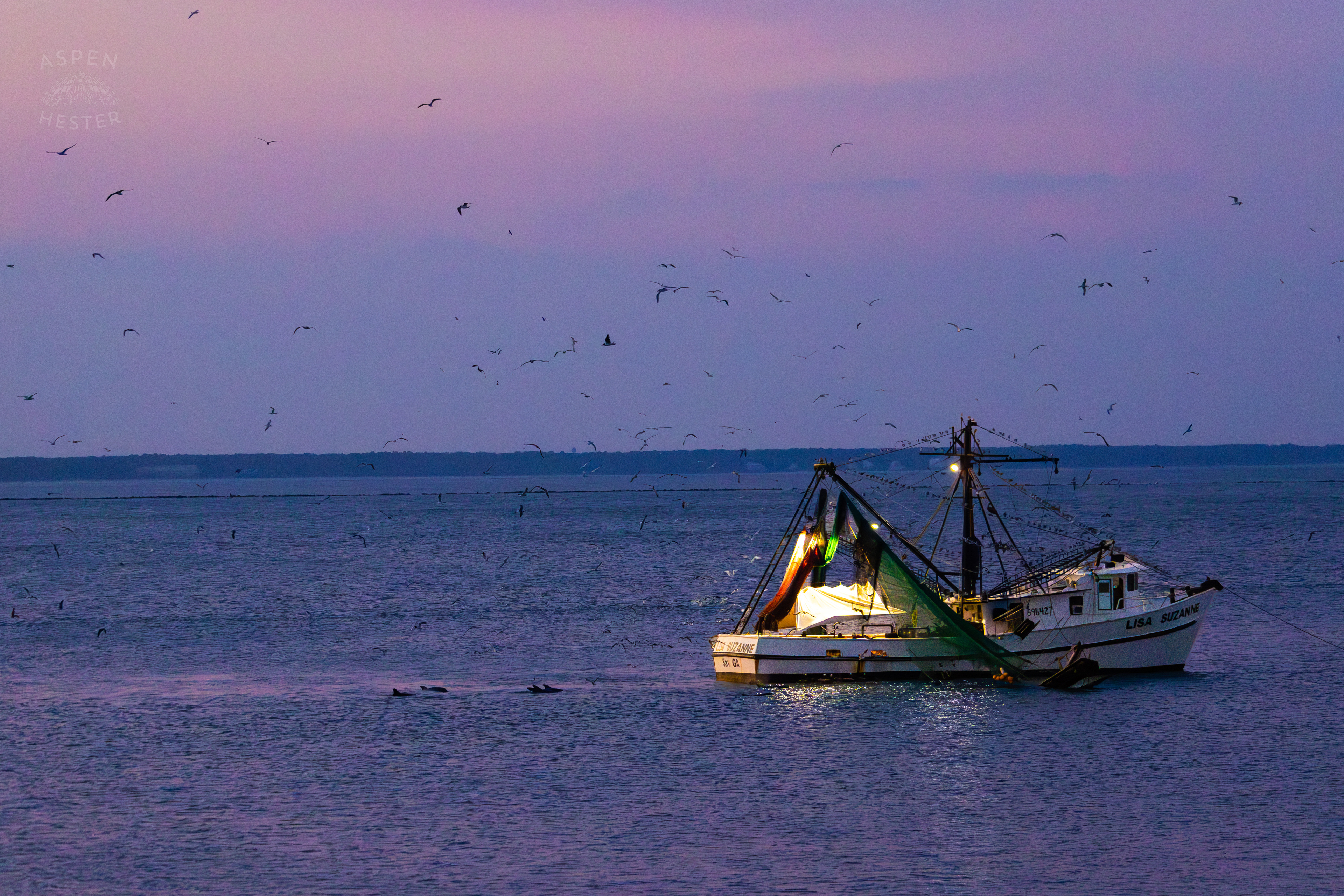 The ‘Lisa Suzanne’ in the Waters of Tybee Island Georgia. June 25th, 2024/Aspen Hester