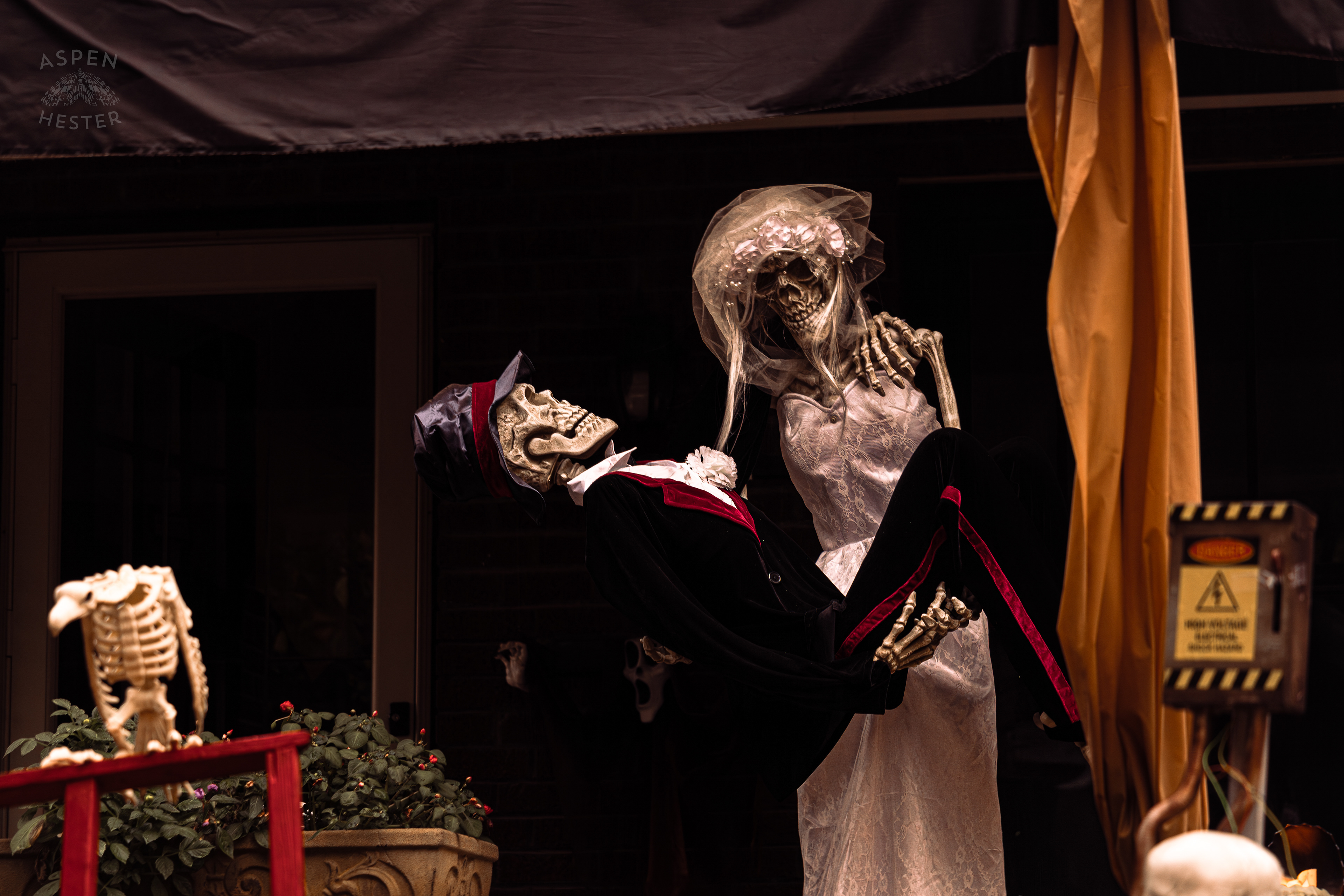 Bride and Groom Skeletons Along Hillcrest Avenue on Halloween Night. October 31st, 2024/Aspen Hester