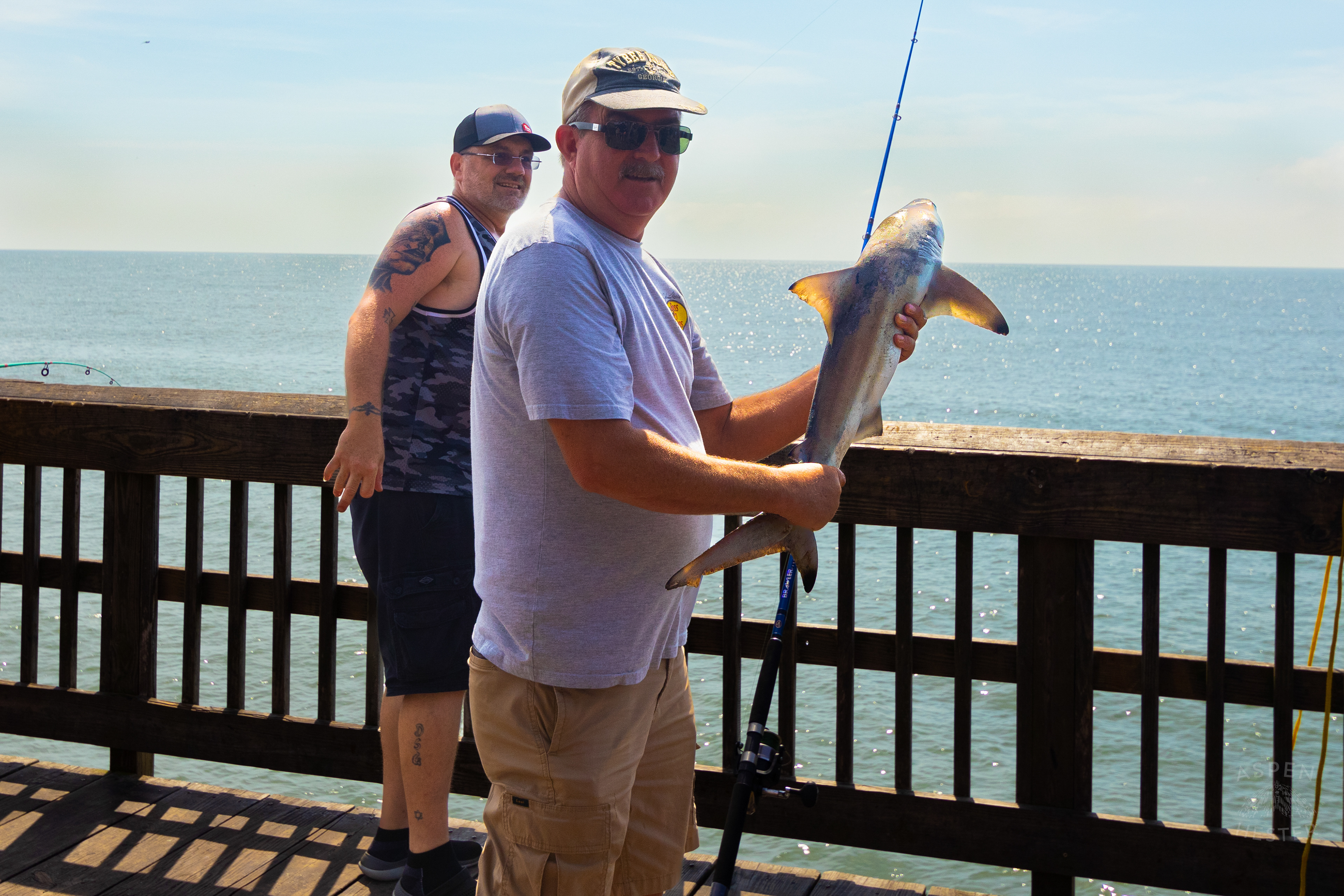 Man Catches Black Tipped Shark on The Tybee Island Pier and Pavilion on Tybee Island Georgia. June 27th, 2024/Aspen Hester