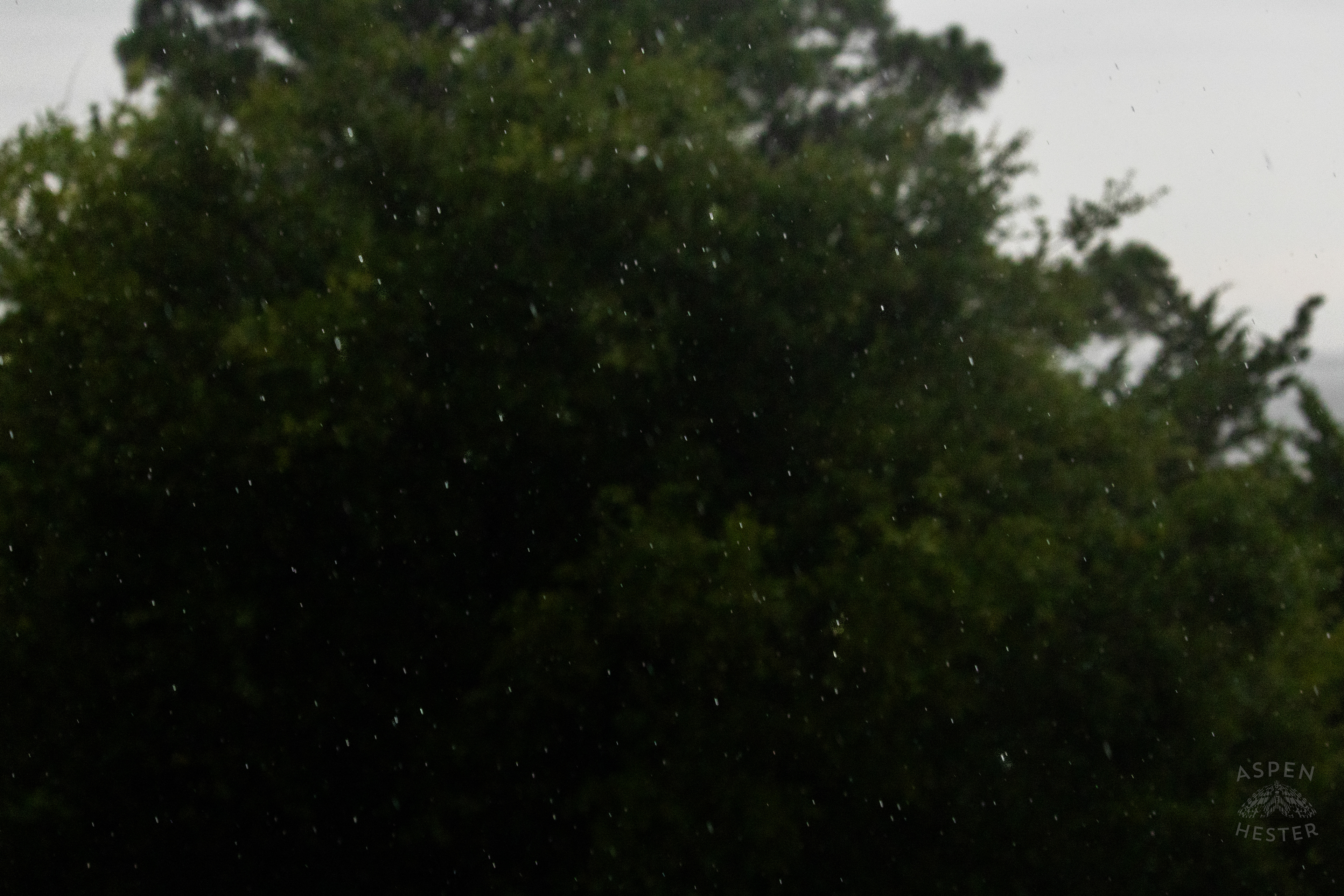 Raindrops as A Thunderstorm Rolls Over Tybee Island Georgia. June 27th, 2024/Aspen Hester