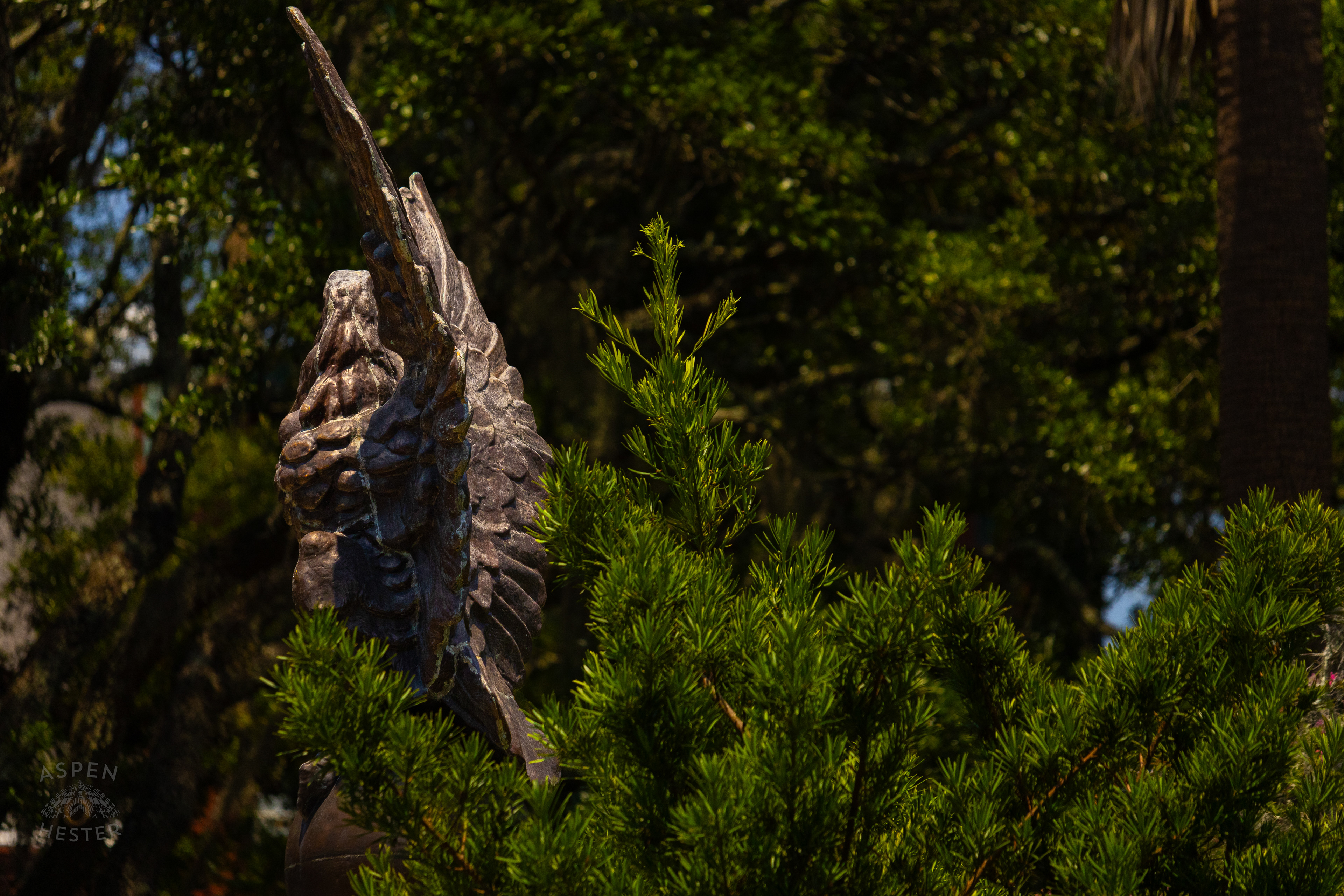 Entrance to Colonial Park Cemetery in Savannah Georgia. June 26th, 2024/Aspen Hester