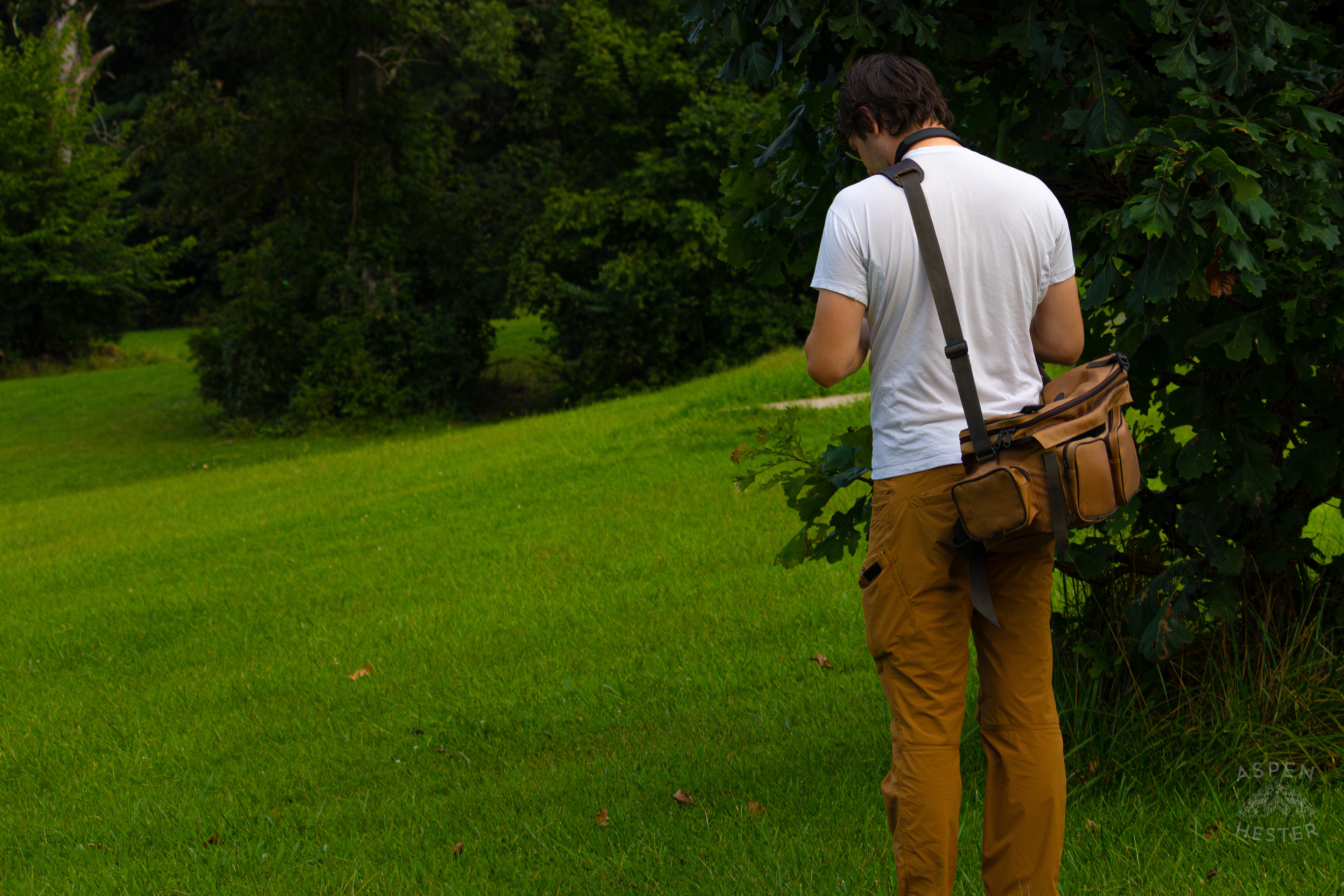 The Most Beautiful Thing in Wendell Moore Park. August 12th, 2024/Aspen Hester