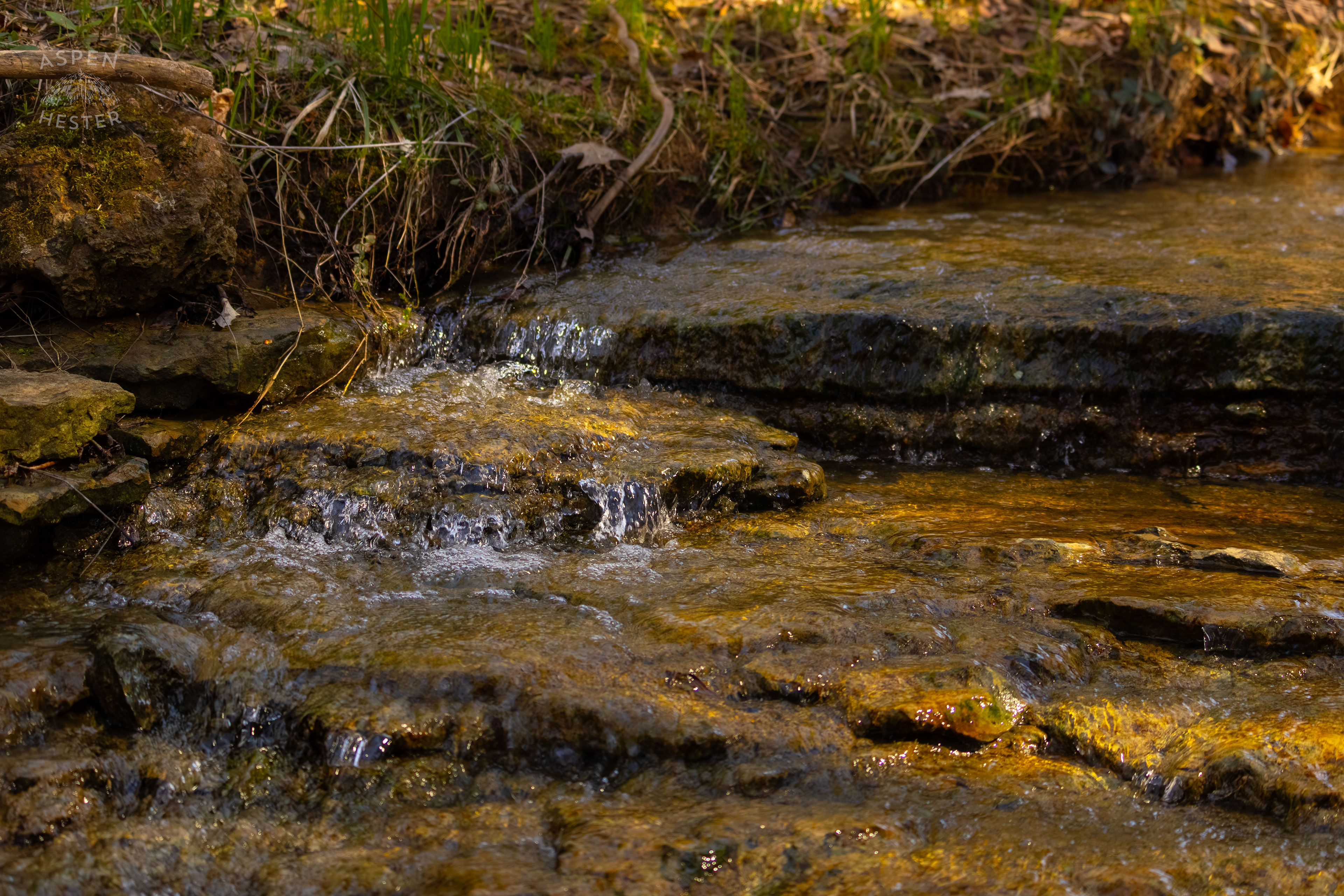My Favorite Spot of Cedar Creek in Wendell Moore Park Right Before Spring. March 18th, 2025/Aspen Hester