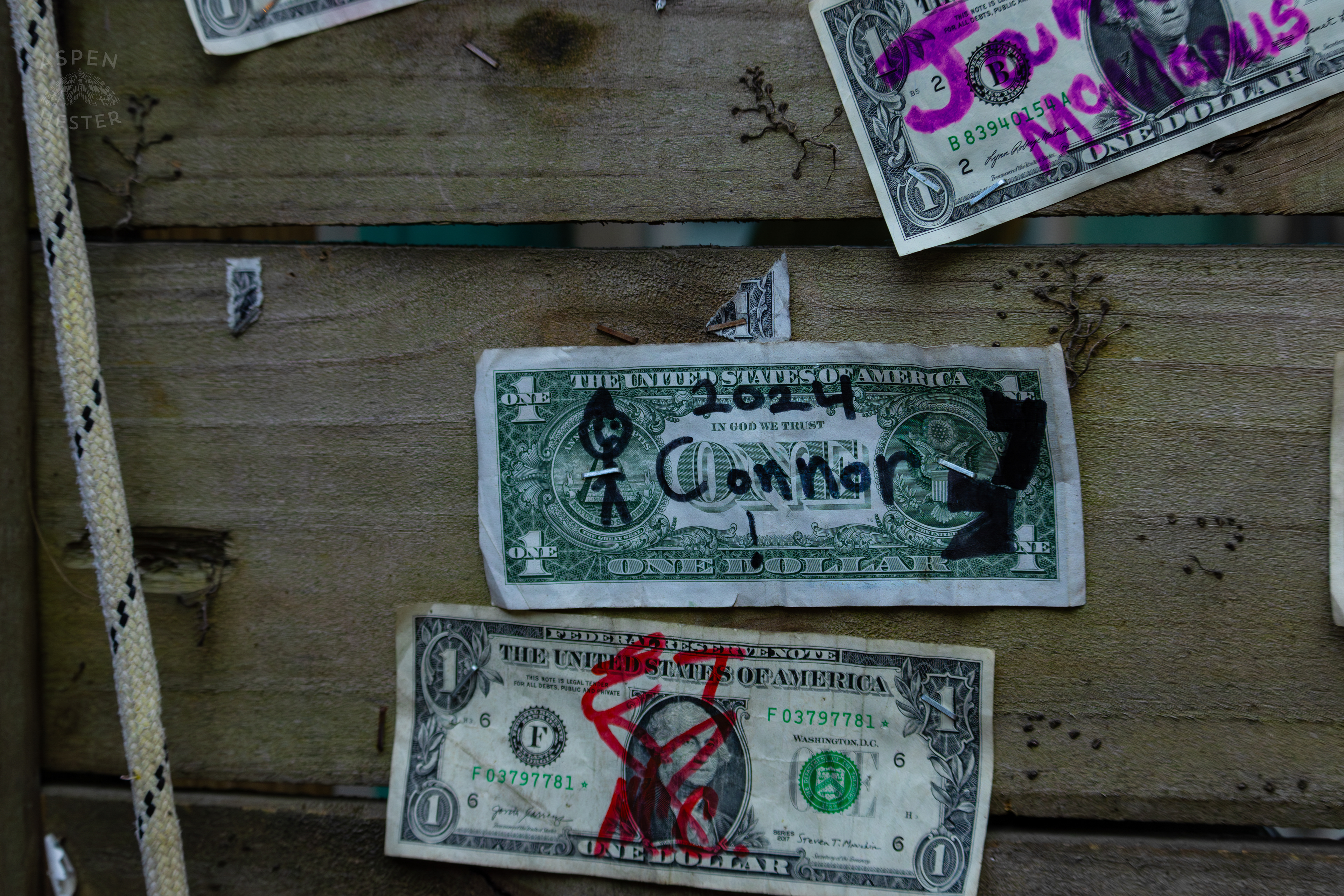 Dollar Bills Stapled to Huc-A-Poos Bites and Booze on Tybee Island Georgia. June 25th, 2024/Aspen Hester