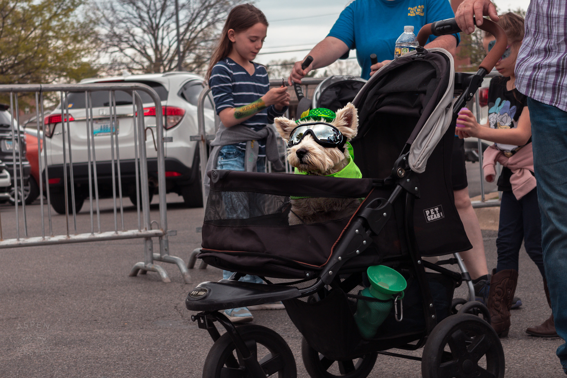 The Coolest Dog Wearing Goggles in A Stroller at Westport Village’s 5th Annual Puppy Palooza. April 19th, 2025/Aspen Hester