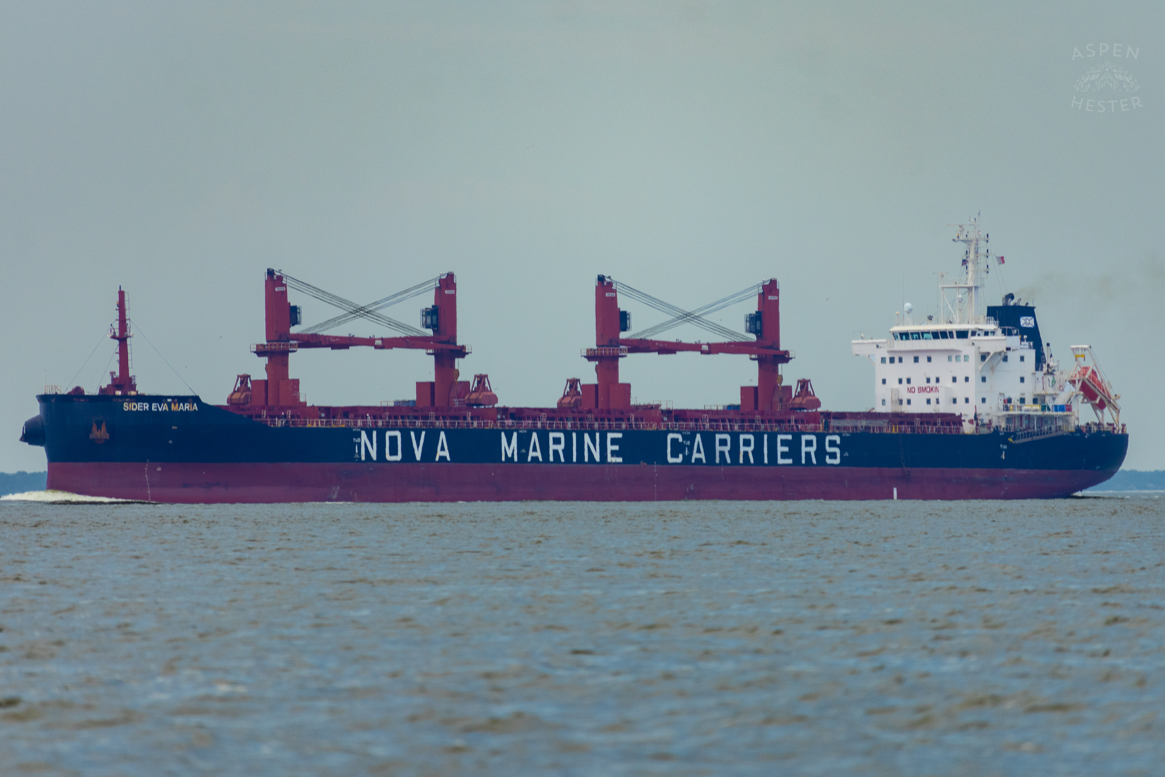 Cargo Ship Off The Coast of Tybee Island Georgia. June 24th, 2024/Aspen Hester