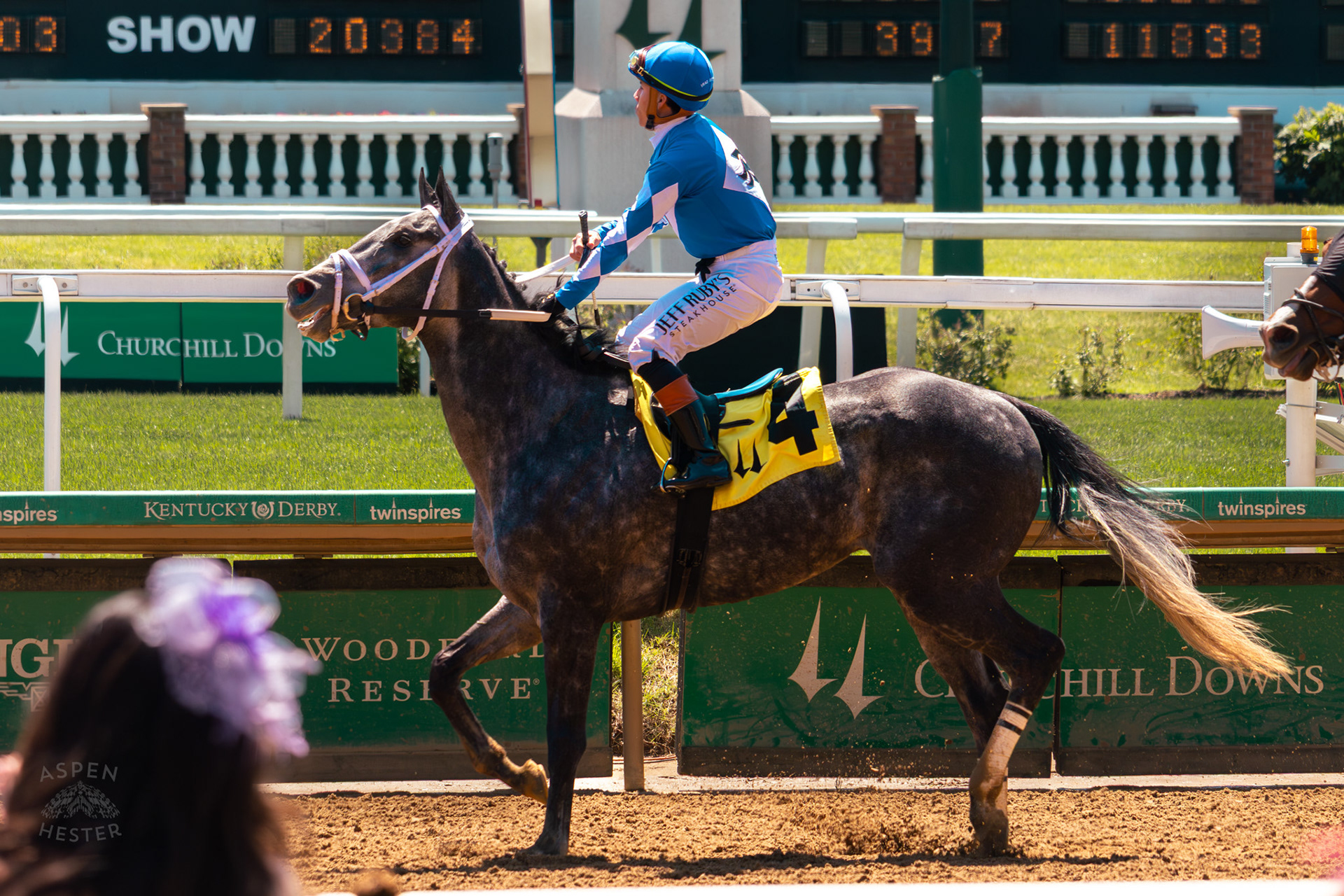 Horse and Jockey Number 4 Ride Back to The Paddock After A Thurby Day Race at Churchill Downs. April 30th, 2026/Aspen Hester