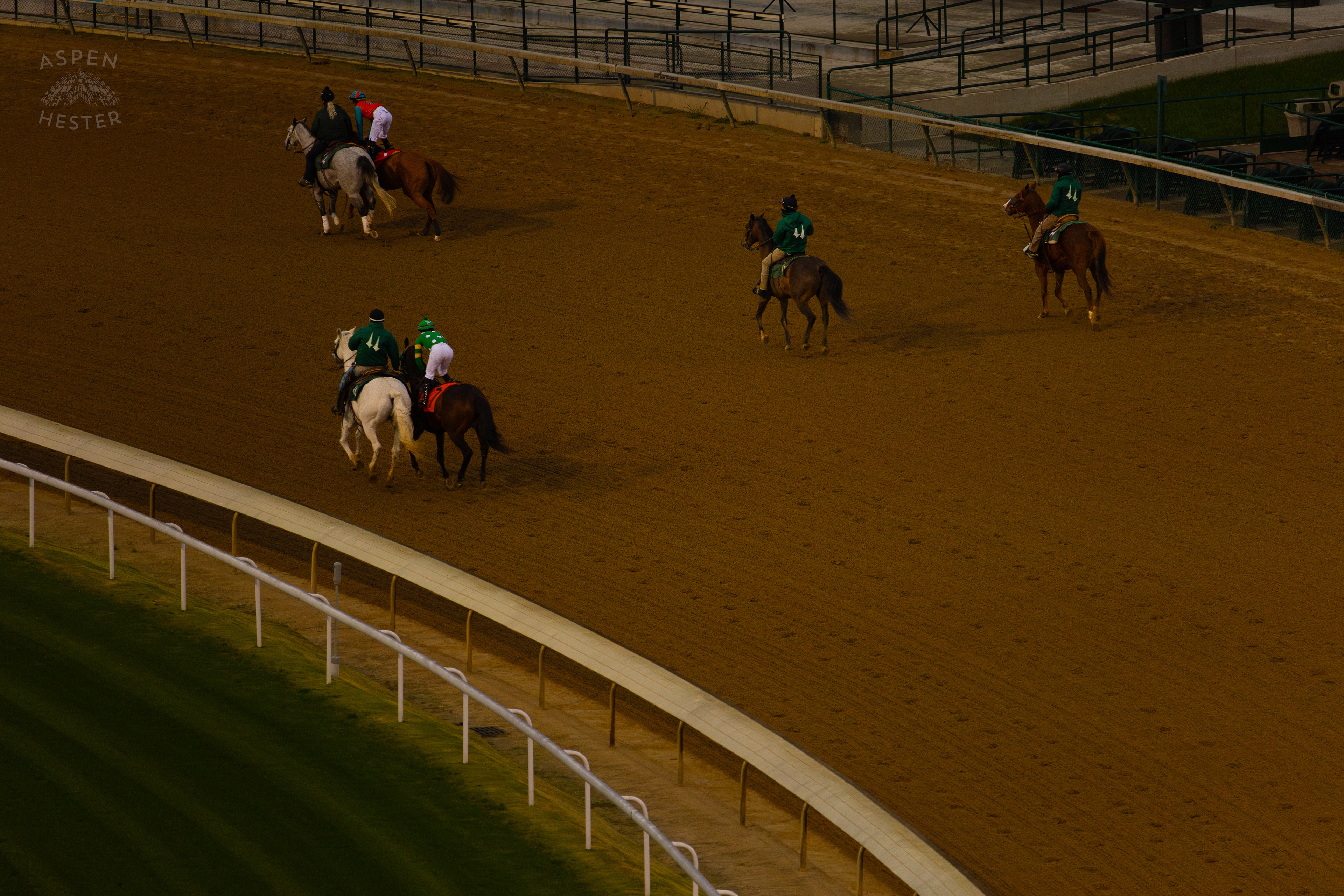 Horses Being Led to The Starting Gate For Race 9 On The Day Bob Baffert Returned to Churchill Downs After A 3 Year Suspension. November 27th, 2024/Aspen Hester