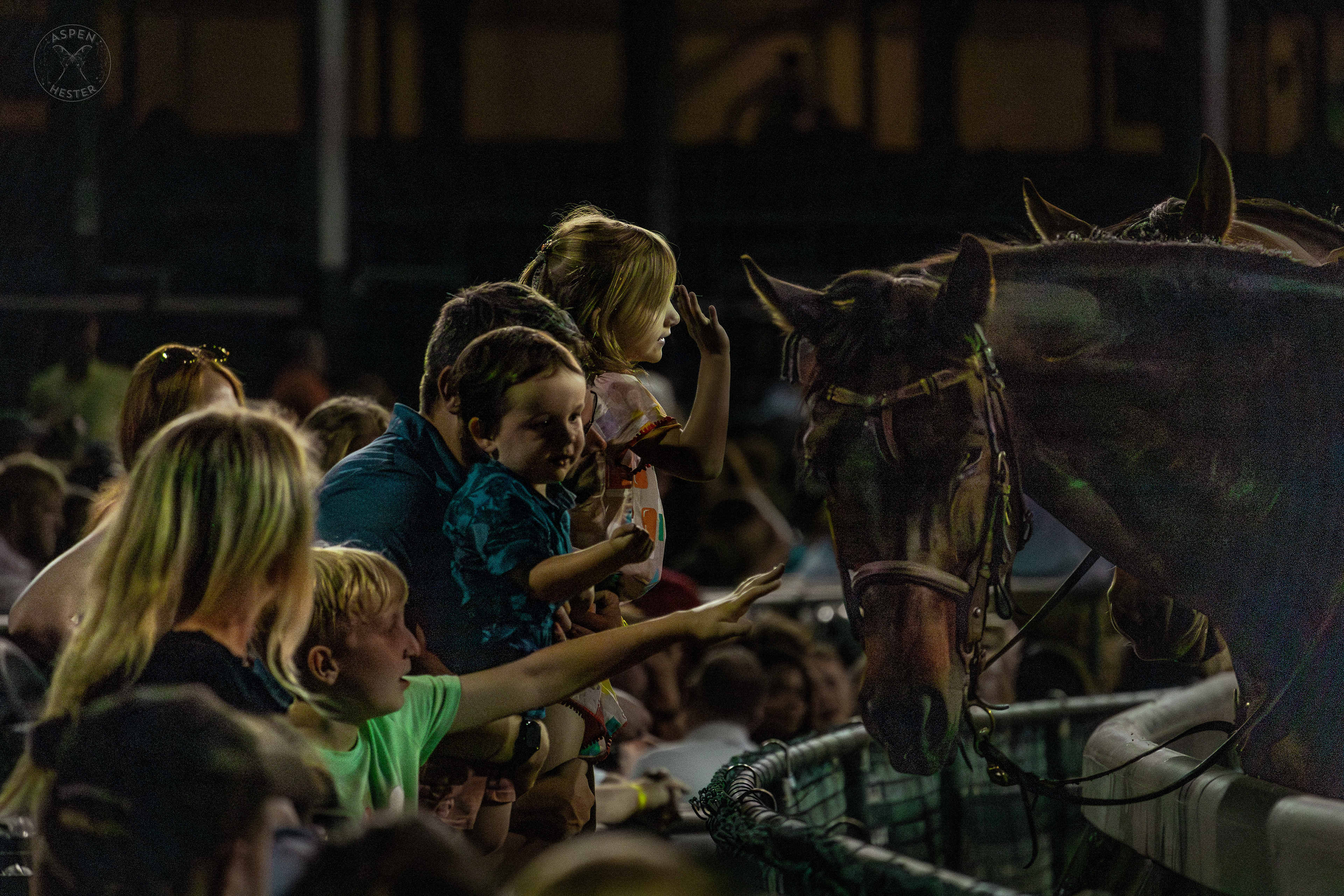 Churchill Down Riders Allow Fans to Pet Their Horses at Downs After Dark. May 18th, 2024/Aspen Hester