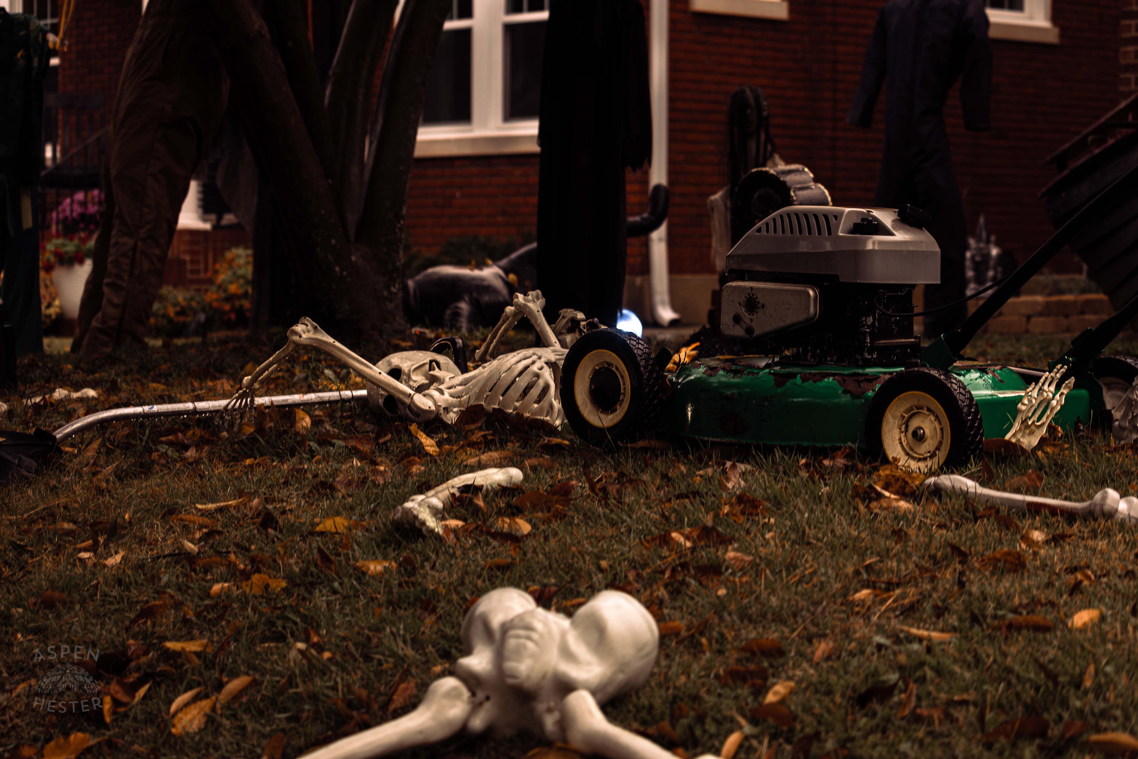 Mower Accident Skeletons Along Hillcrest Avenue on Halloween Night. October 31st, 2024/Aspen Hester