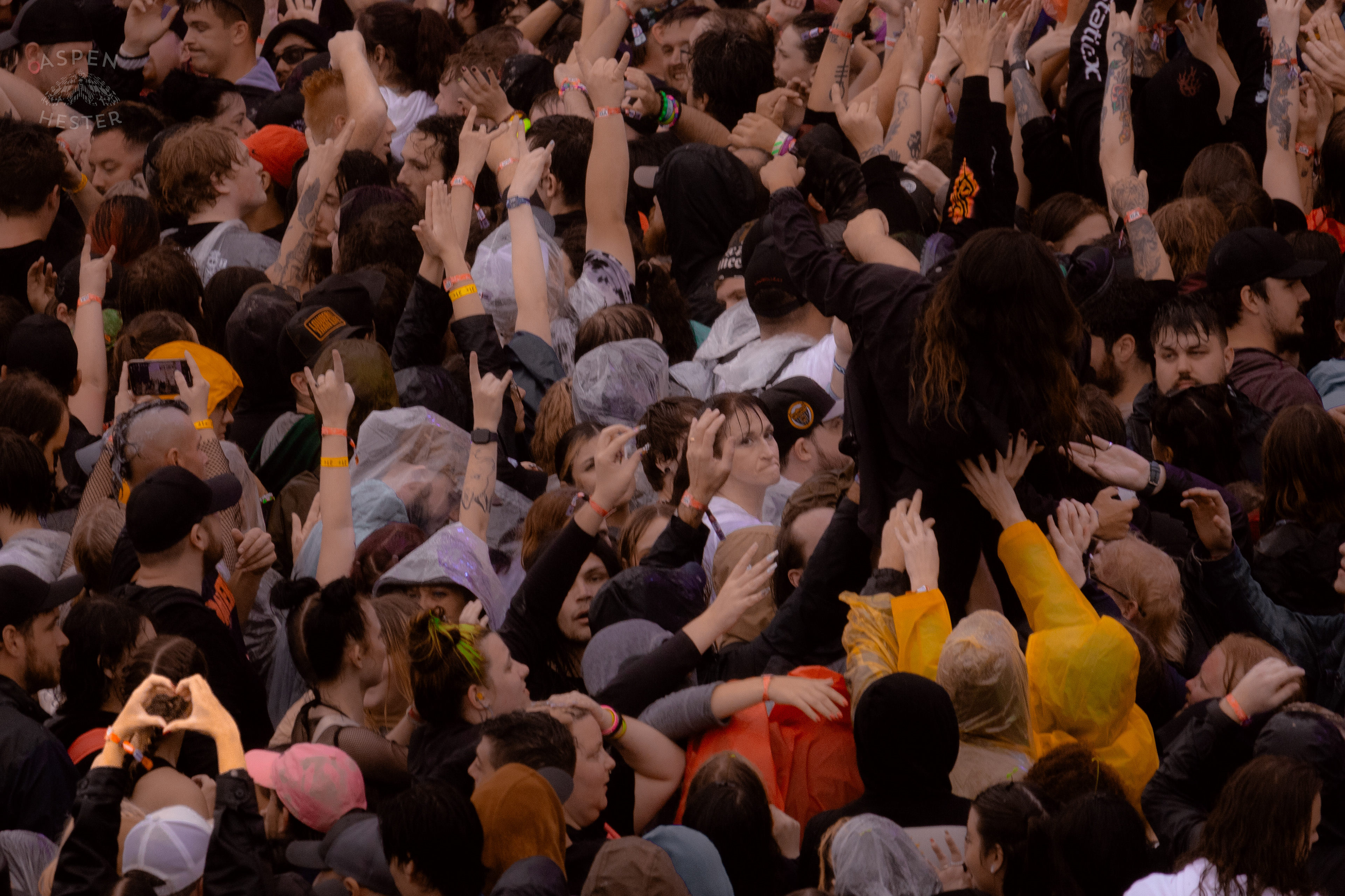 Crowd Surfer During Sleeping with Sirens Set at Louder than Life’s Saturday Shows. September 28th, 2024/Aspen Hester 