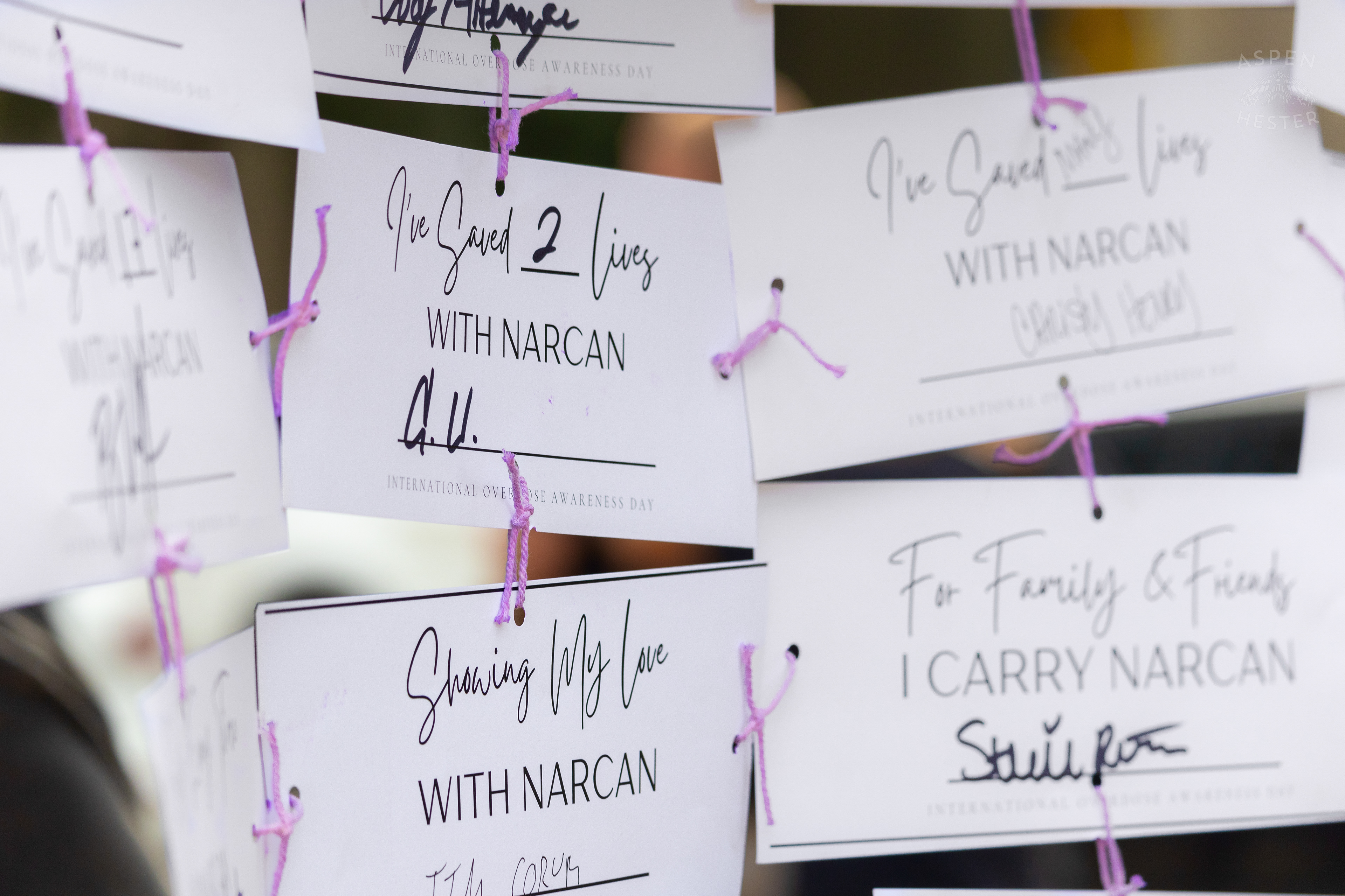 Cards Sharing Why People Carry Narcan with Them at The 3rd Annual Vocal KY International Overdose Awareness Day Rally and March. August 31st, 2024/Aspen Hester