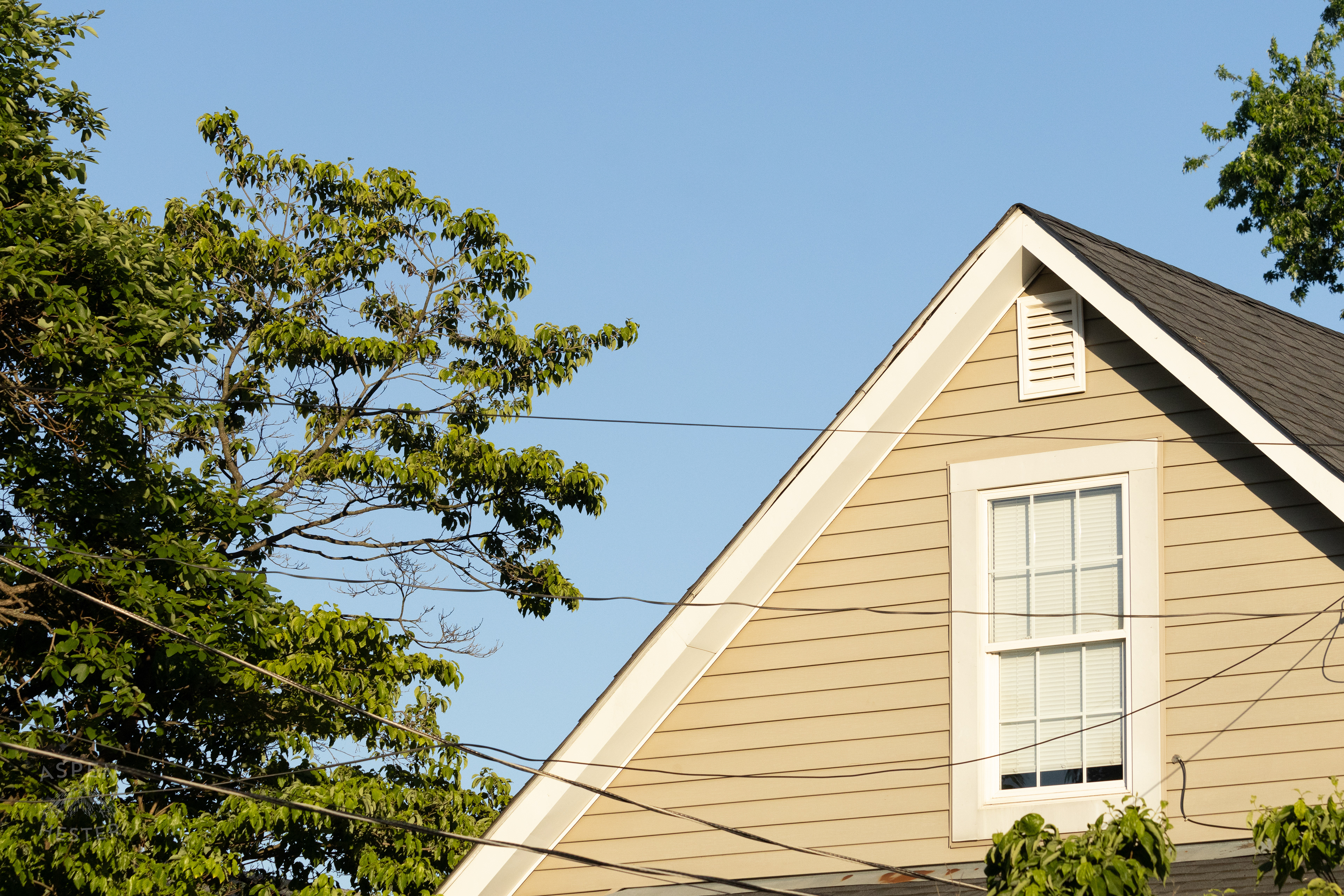 A Home During Golden Hour on Preston Street. May 30th, 2024/Aspen Hester