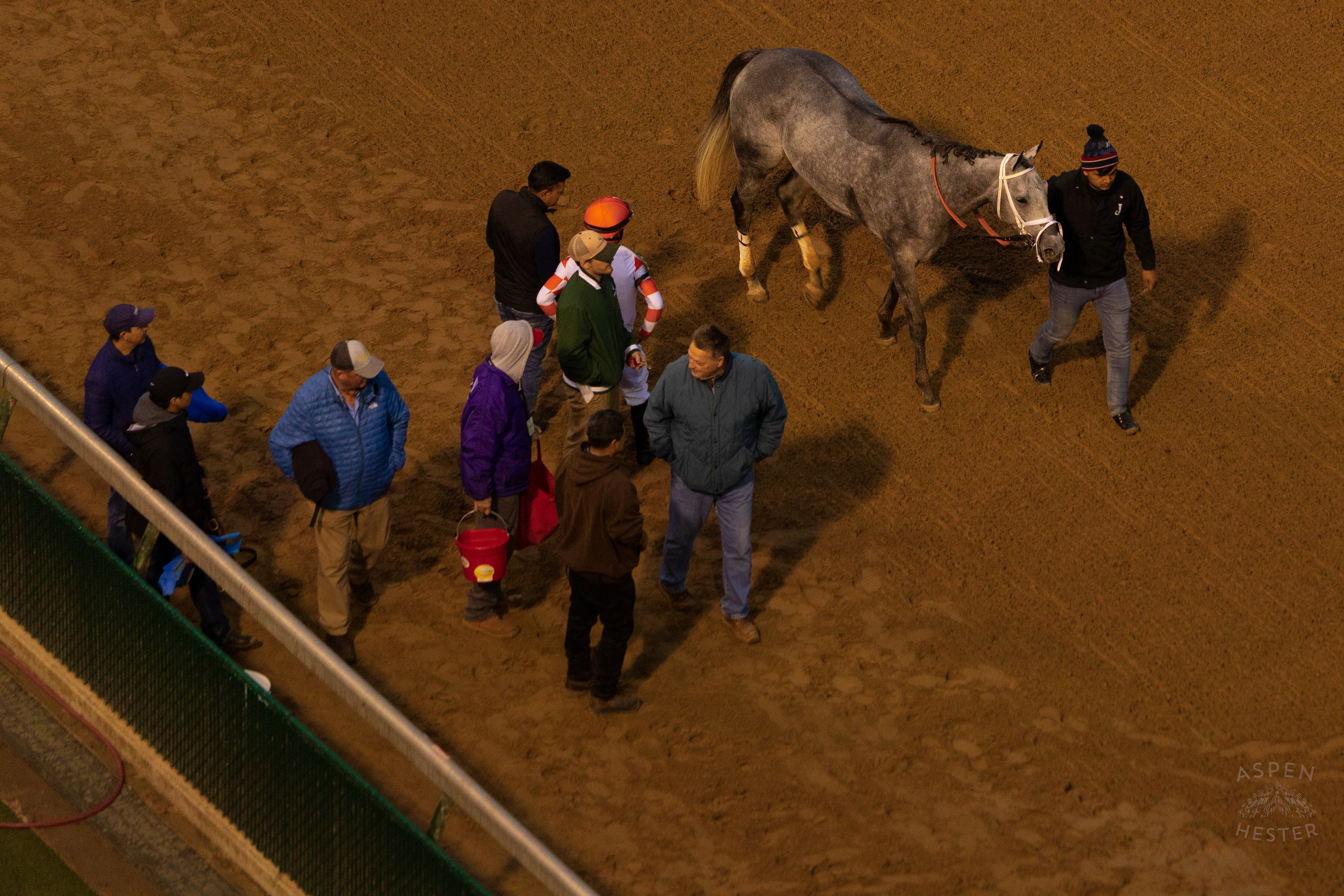 Horse #5 Steel Racer After Running in Race 9 On The Day Bob Baffert Returned to Churchill Downs After A 3 Year Suspension. November 27th, 2024/Aspen Hester