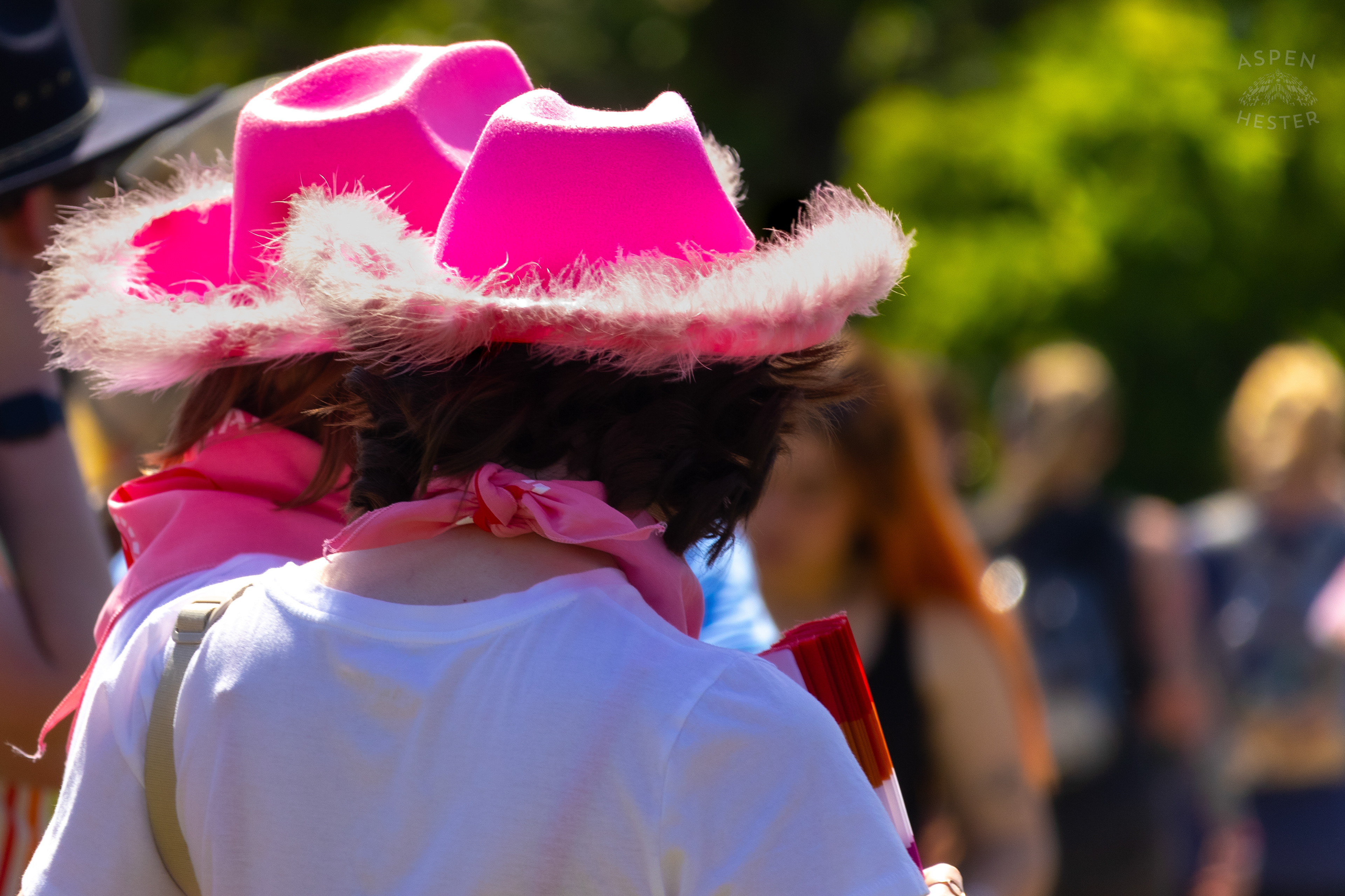 Midwestern Princesses at The Kentuckiana Pride Festival. June 15th, 2024/Aspen Hester