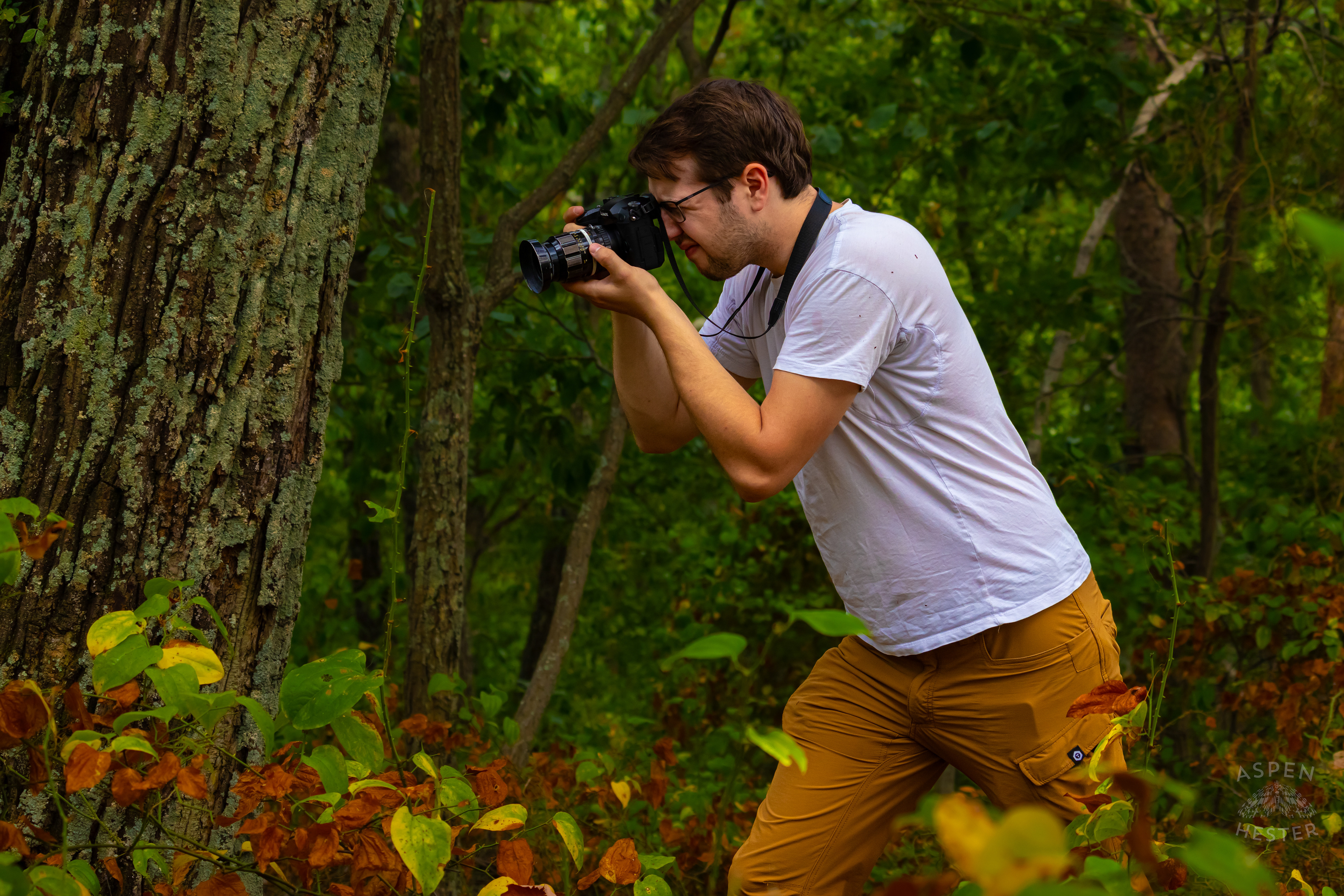 Some Cute Dude Photographing A Red-Spotted Admiral Butterfly Sitting on A Bush Inside Jefferson Memorial Forest. September 3rd, 2024/Aspen Hester