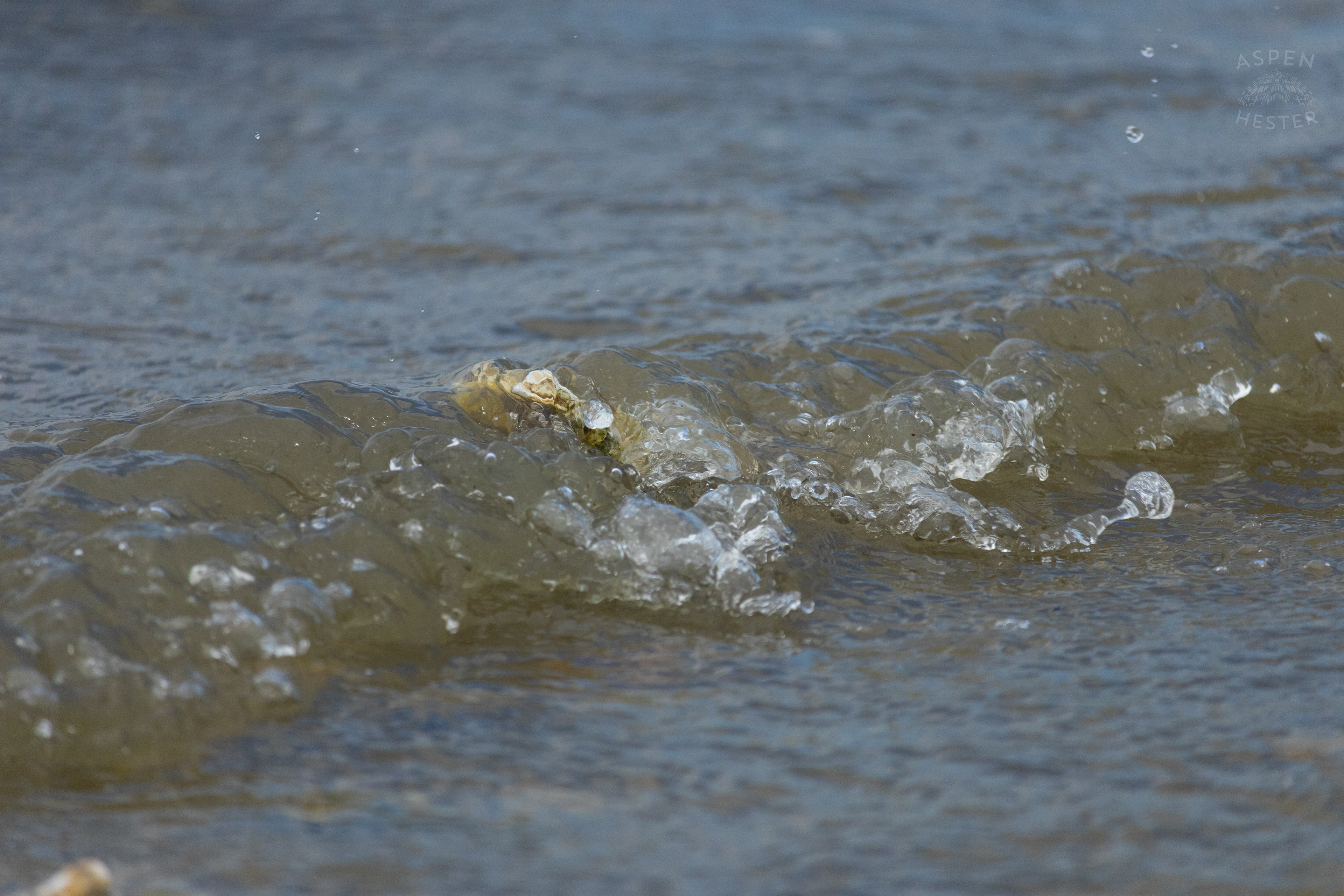 Small Waves On Tybee Island Georgia. June 24th, 2024/Aspen Hester