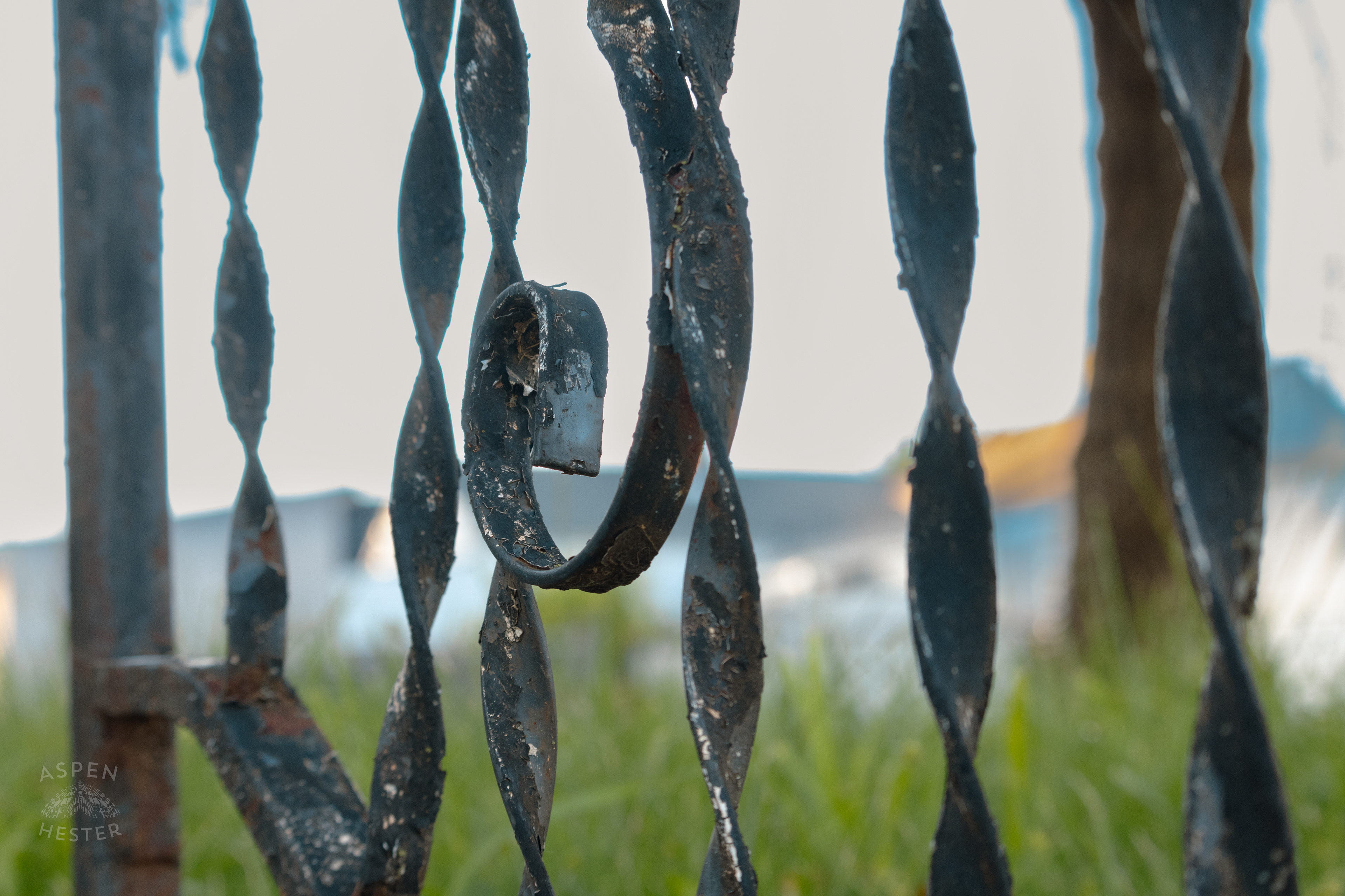 Iron Fence During Golden Hour on Preston Street. May 30th, 2024/Aspen Hester