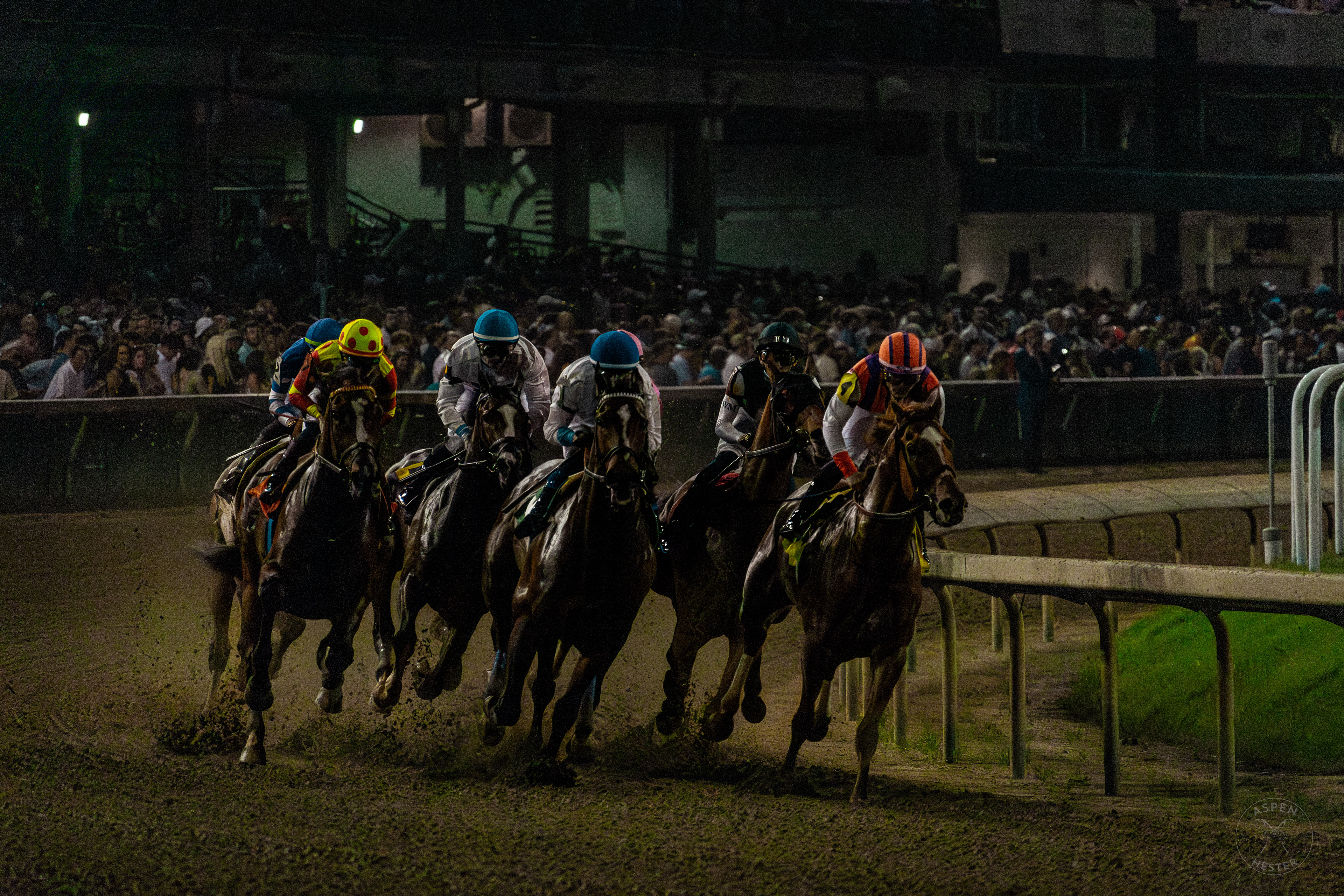 Horses Racing at Downs After Dark. May 18th, 2024/Aspen Hester
