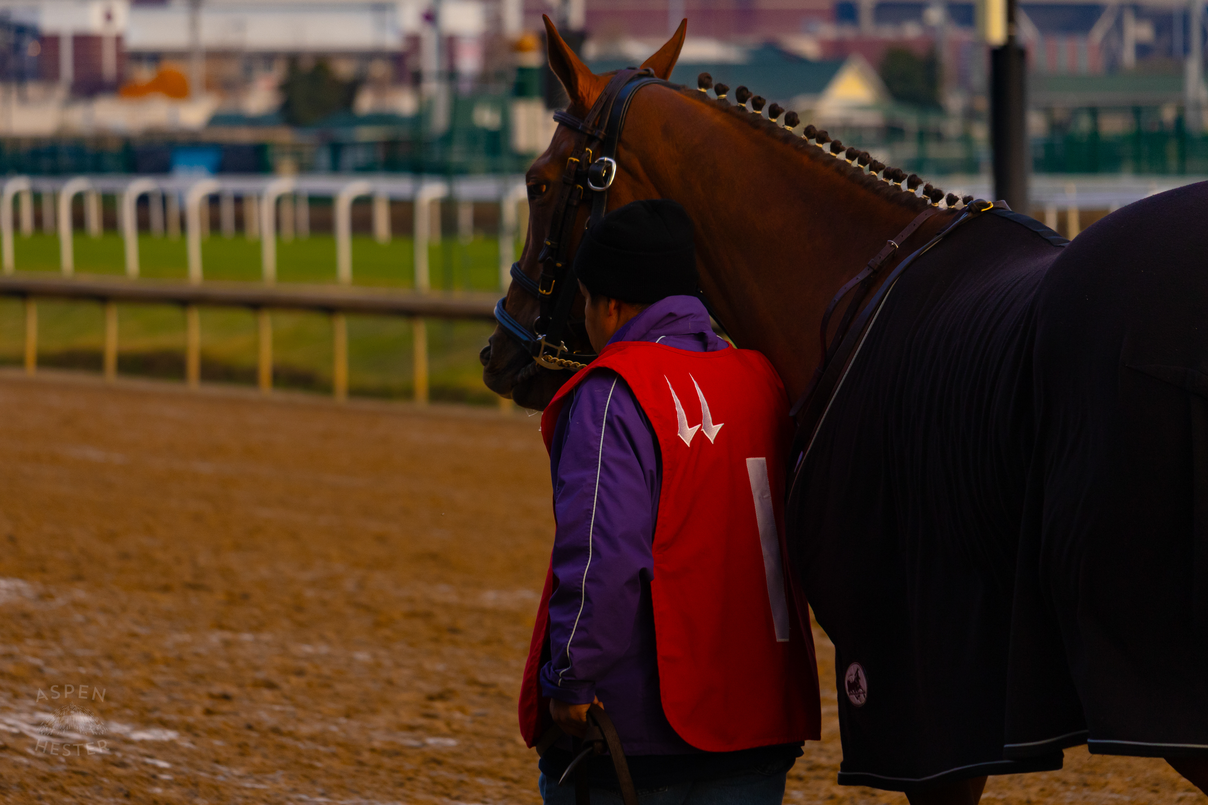 Horse Being Led Down The Track After Running in Race 10 During The Thanksgiving Day Festivities At Churchill Downs. November 28th, 2024/Aspen Hester