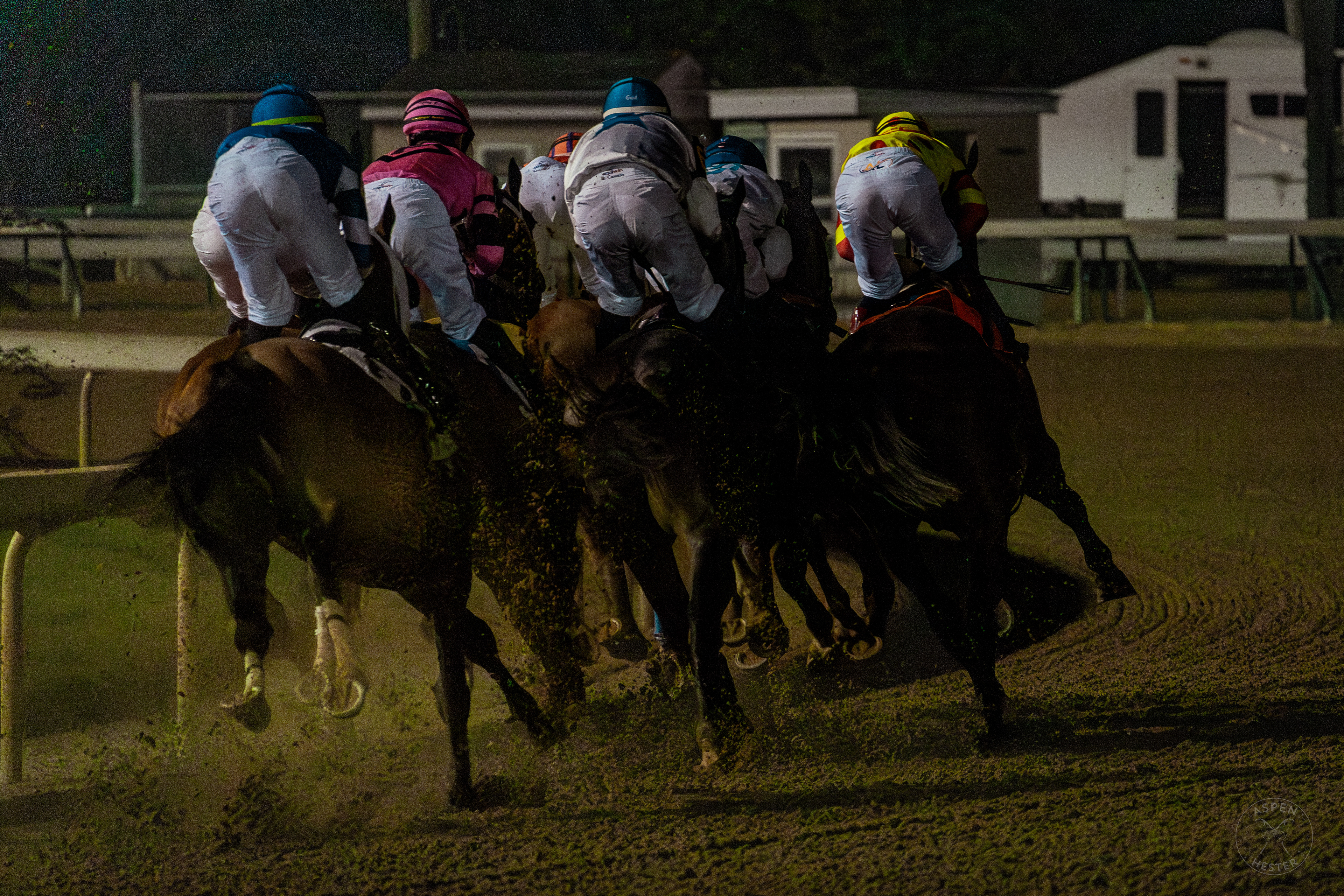 Horses Racing at Downs After Dark. May 18th, 2024/Aspen Hester