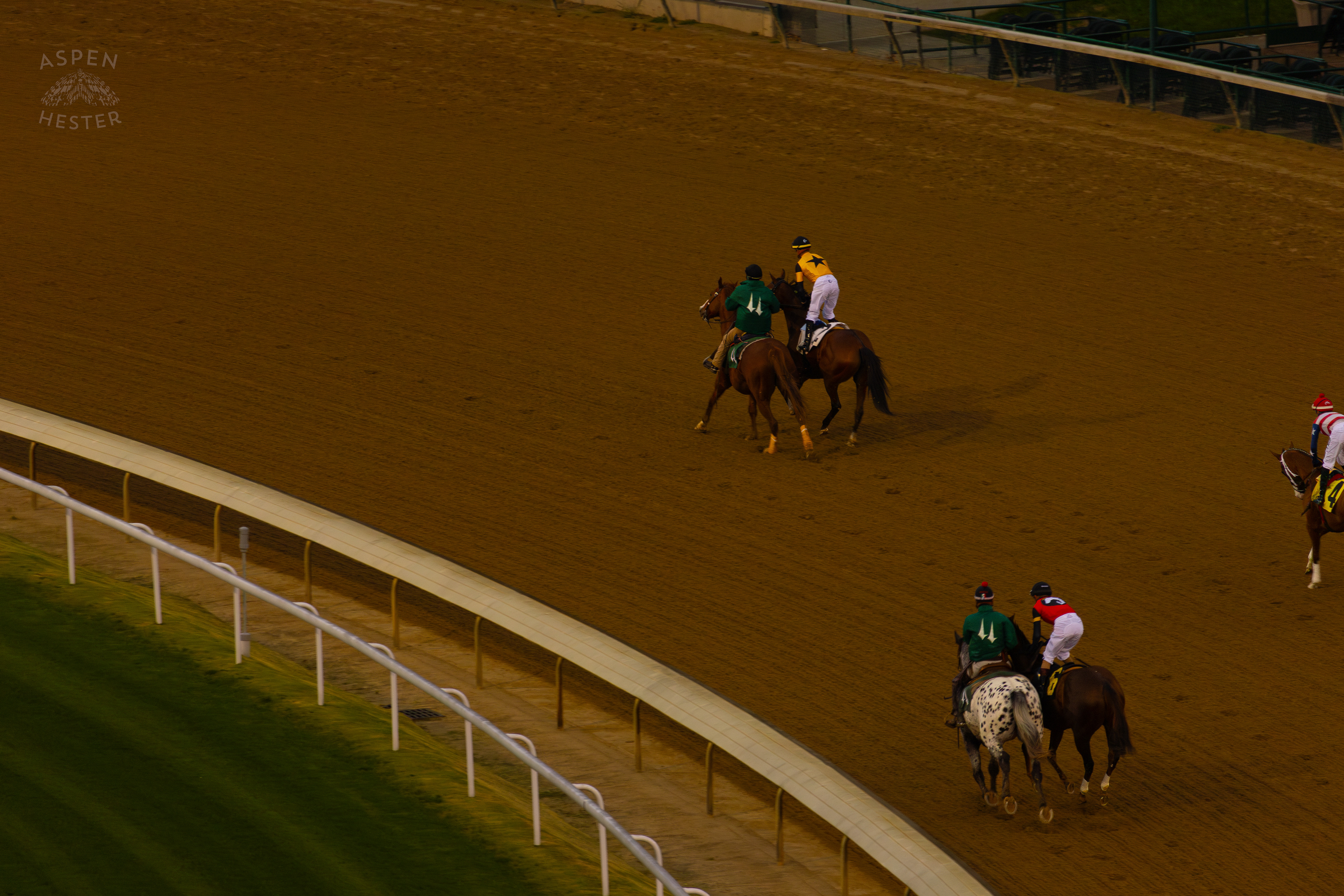 Horses Being Led to The Starting Gate For Race 9 On The Day Bob Baffert Returned to Churchill Downs After A 3 Year Suspension. November 27th, 2024/Aspen Hester